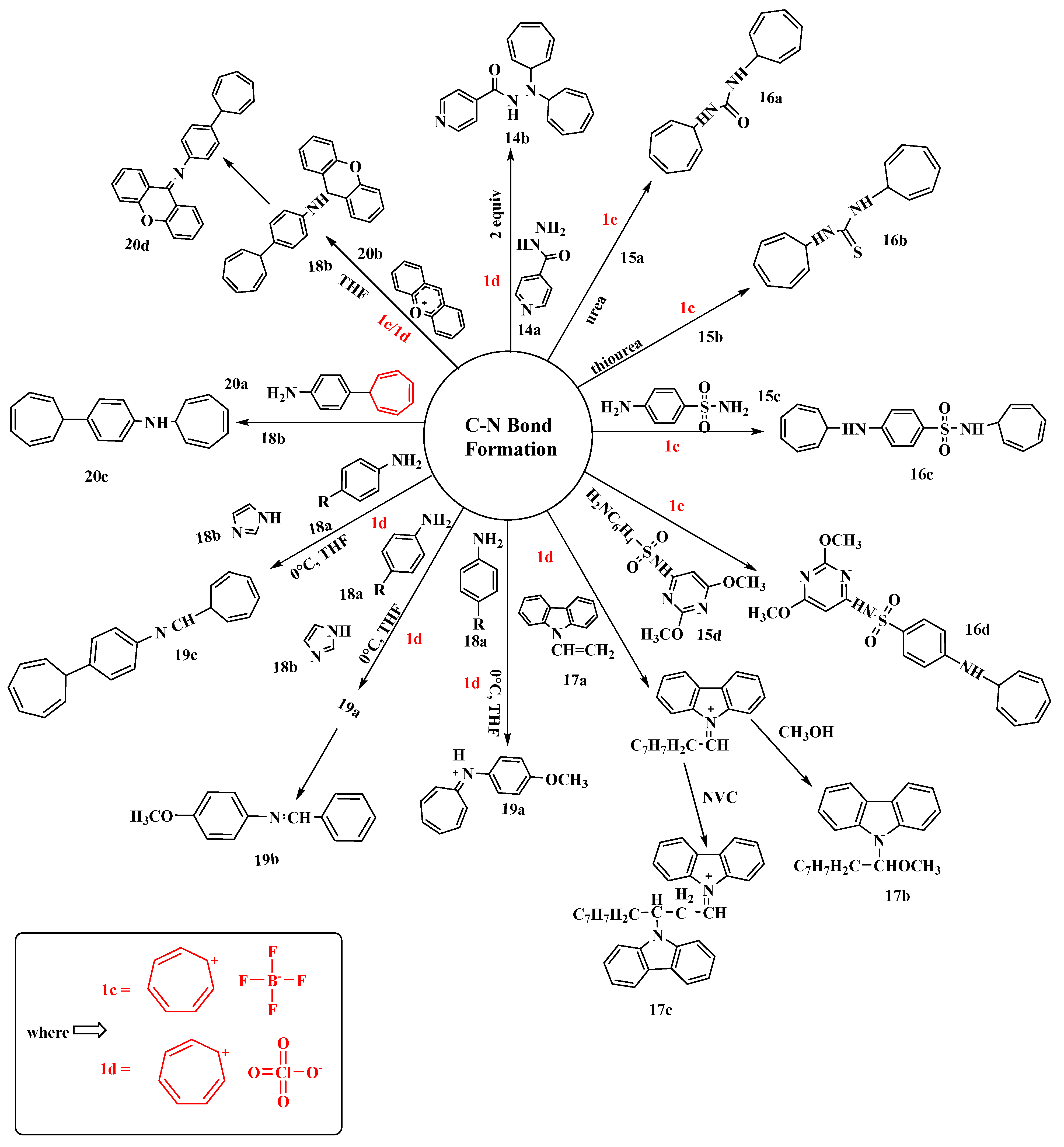 Molecules 28 04095 g011