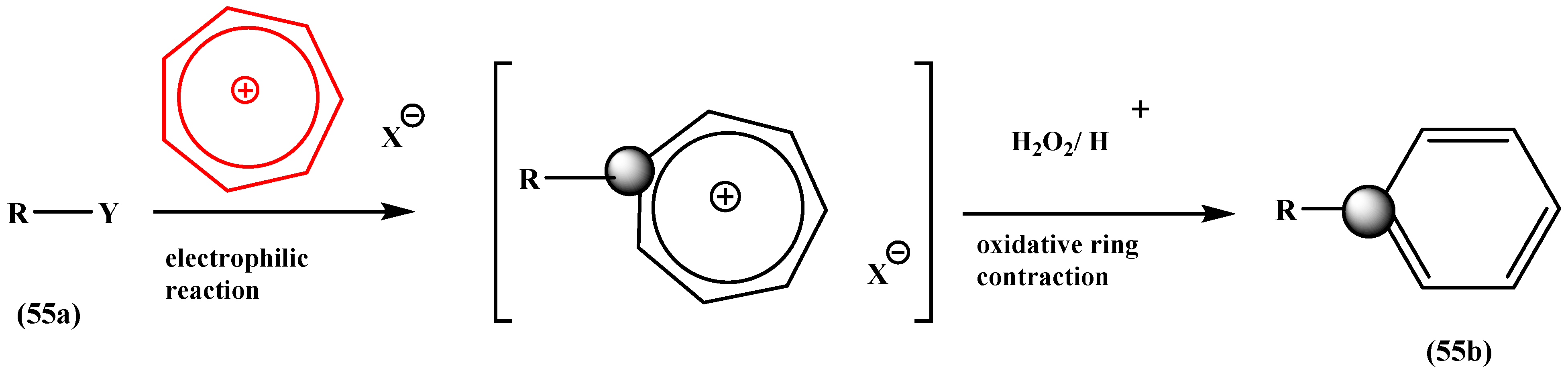 Molecules 28 04095 g022