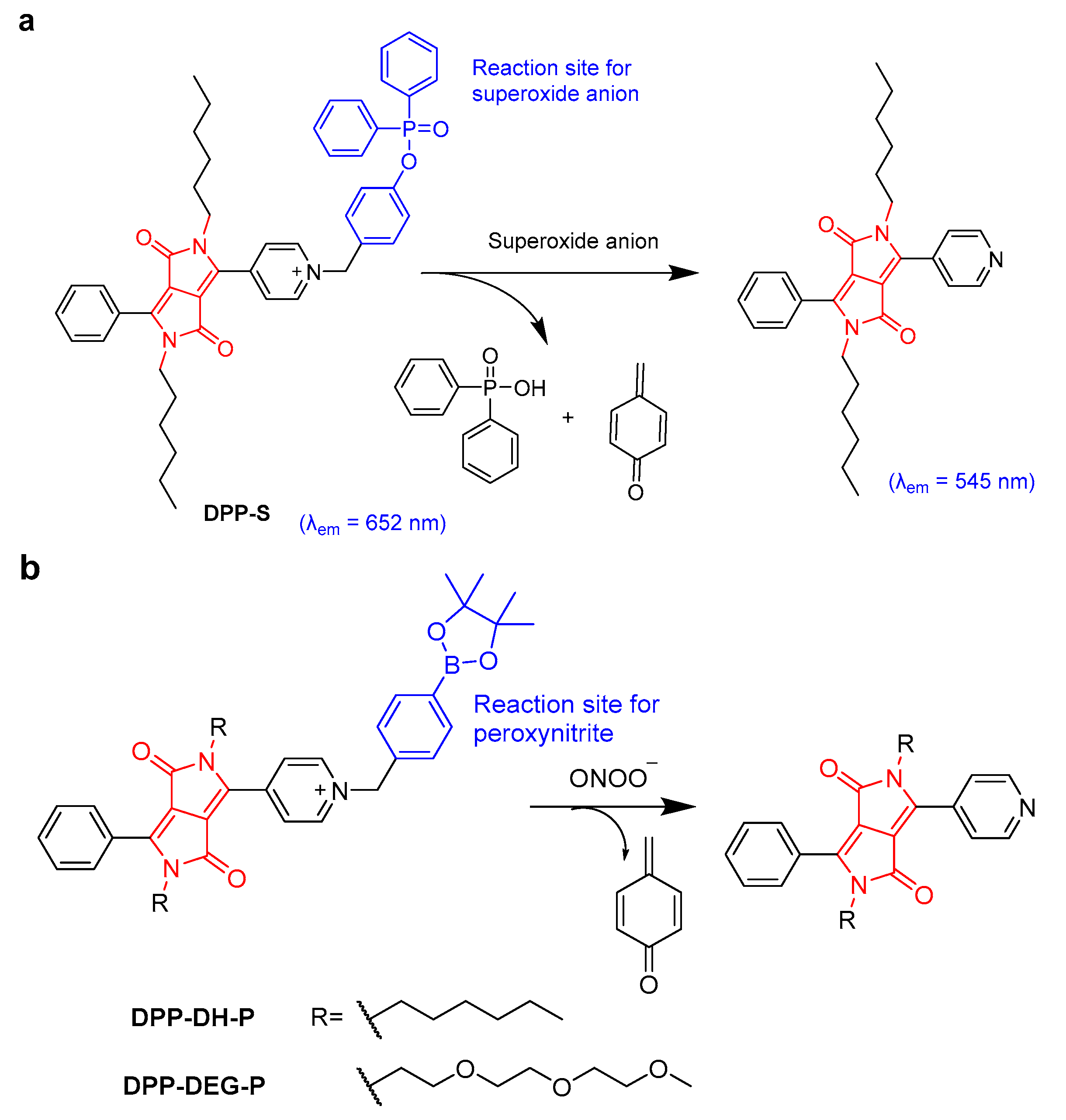 Molecules 28 04097 g003 Molecules 28 04097 g003