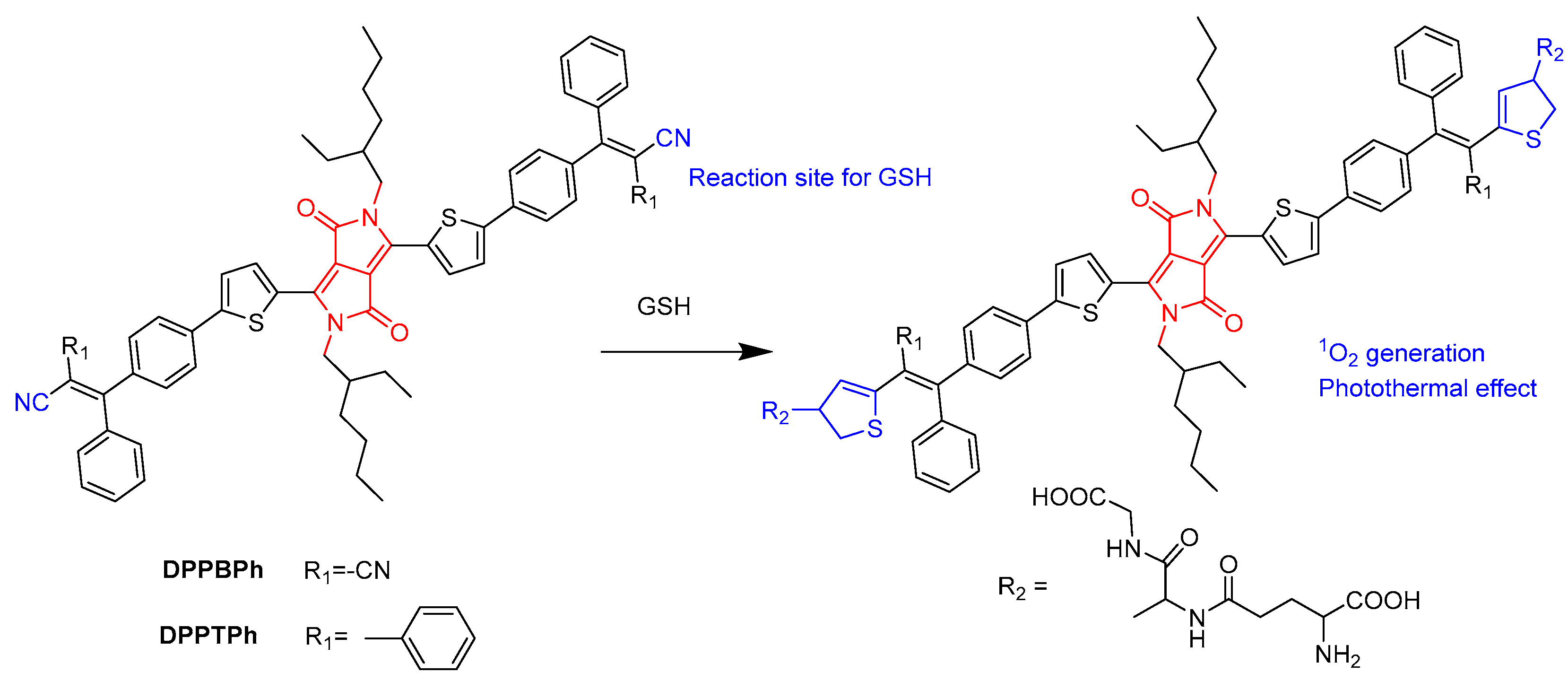 Molecules 28 04097 g006 Molecules 28 04097 g006