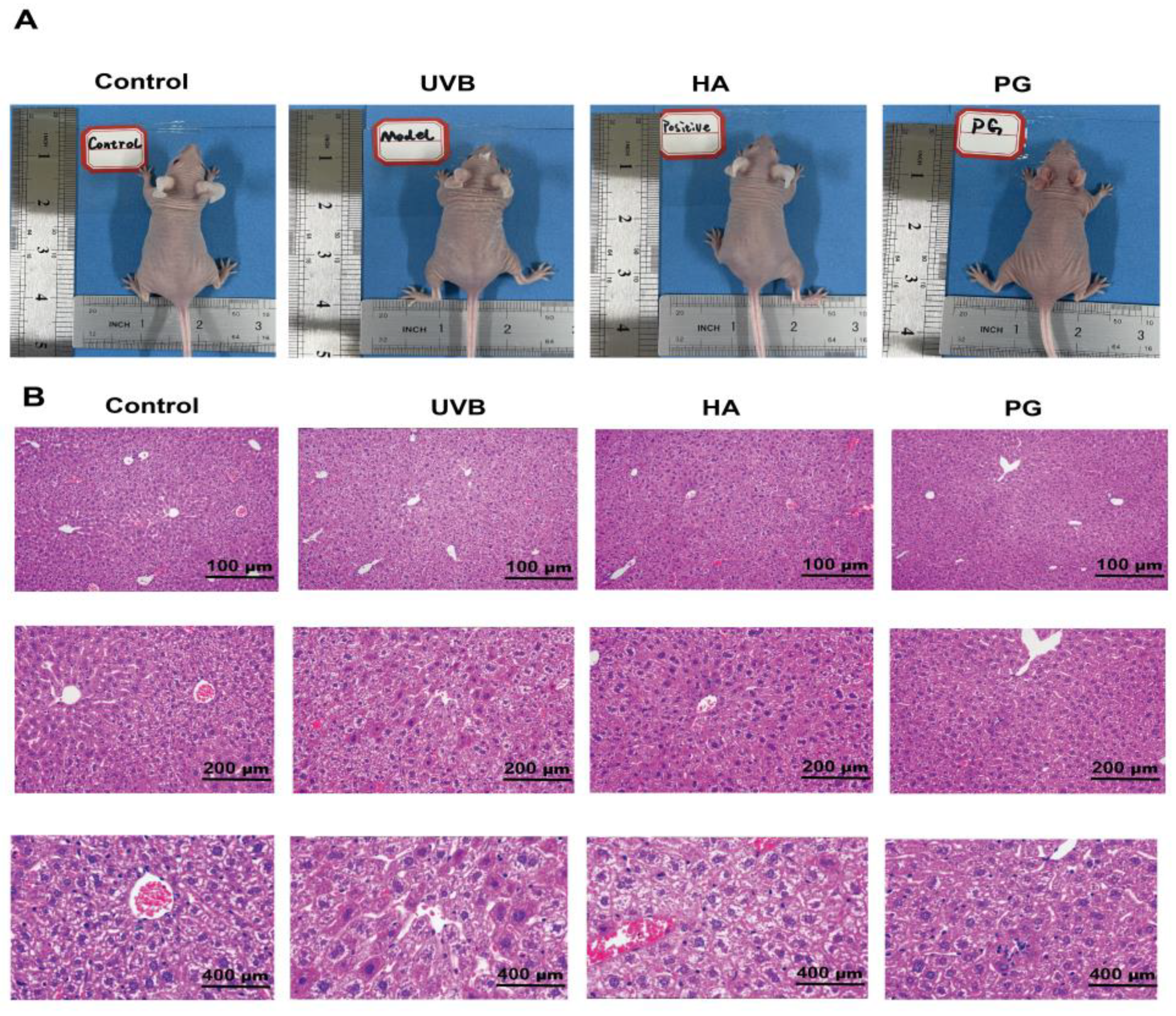 Molecules 28 04104 g003