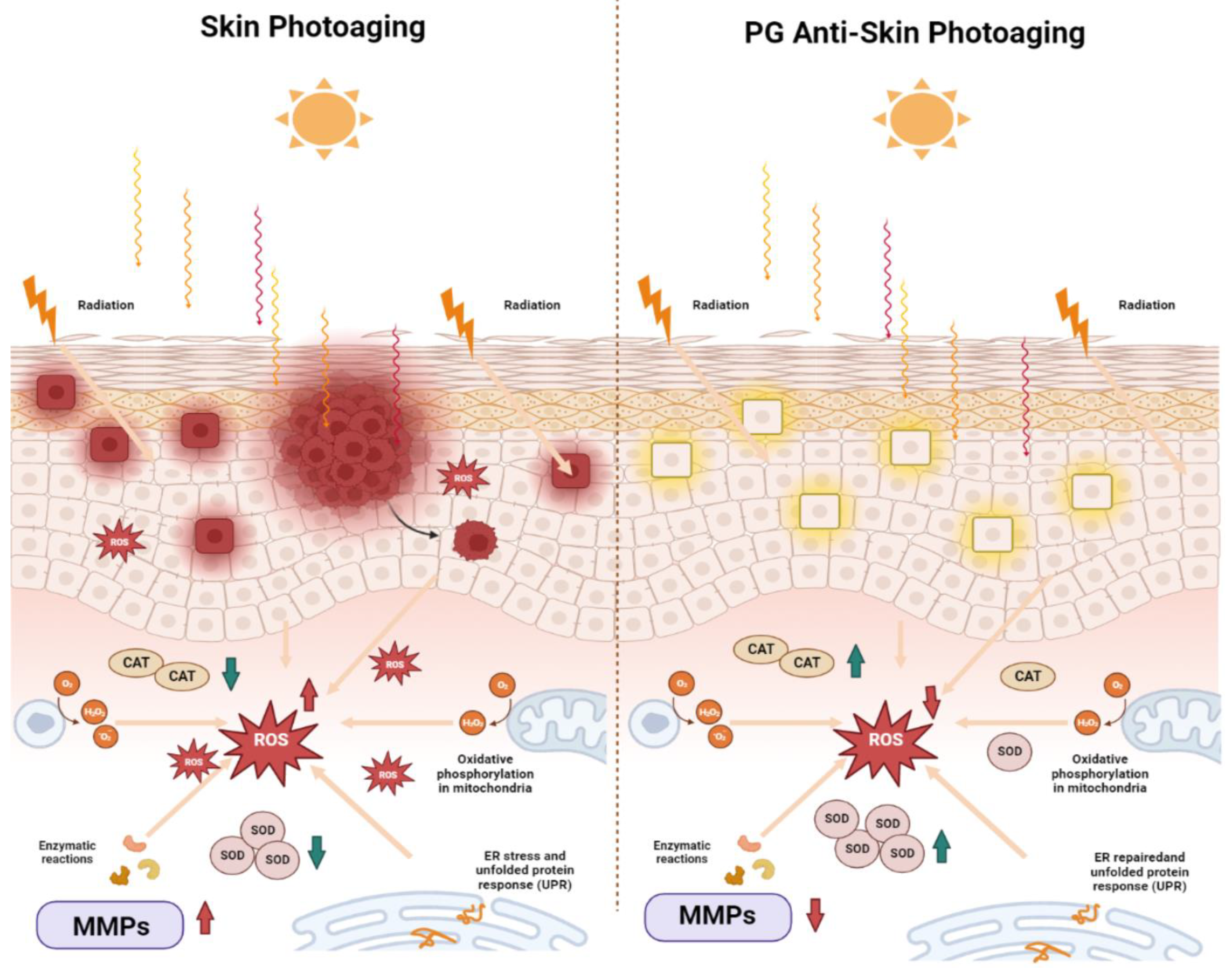 Molecules 28 04104 g006