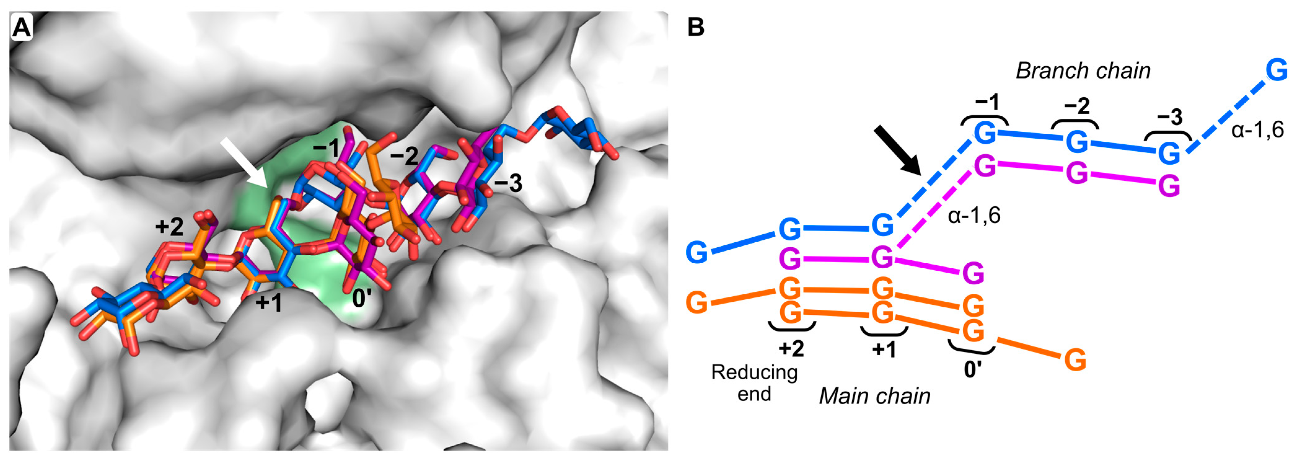 Molecules 28 04111 g003 Molecules 28 04111 g003