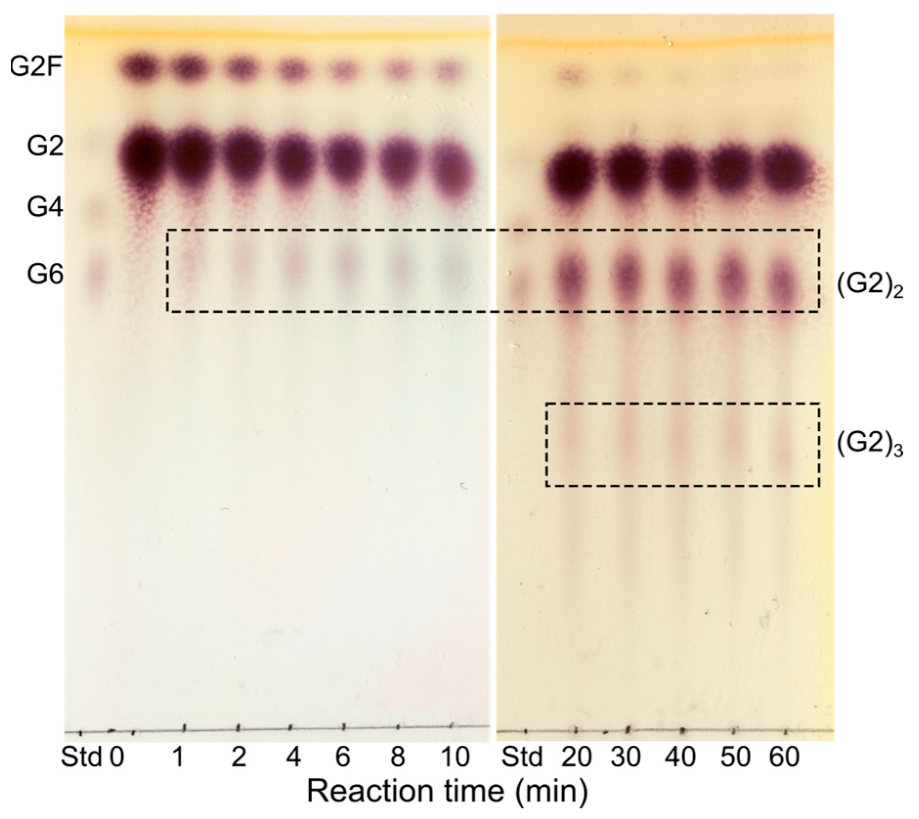 Molecules 28 04111 g004 Molecules 28 04111 g004