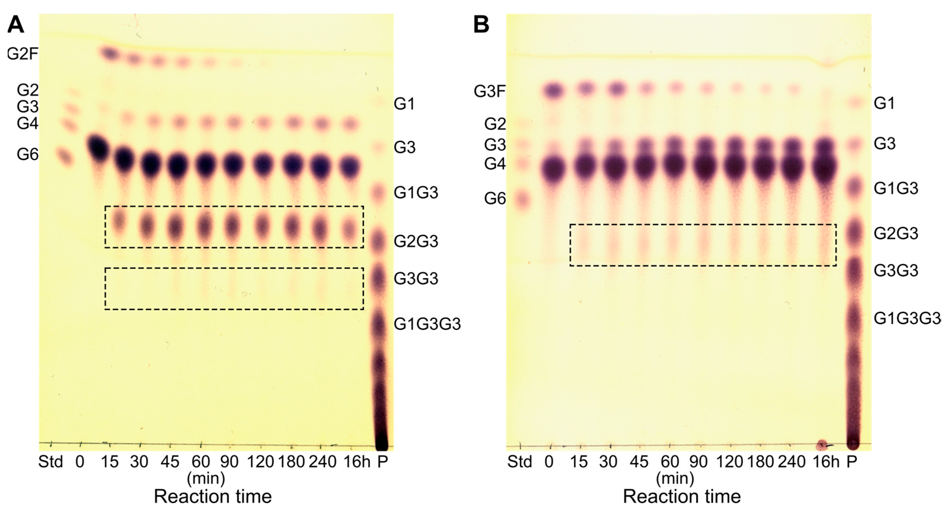 Molecules 28 04111 g005 Molecules 28 04111 g005