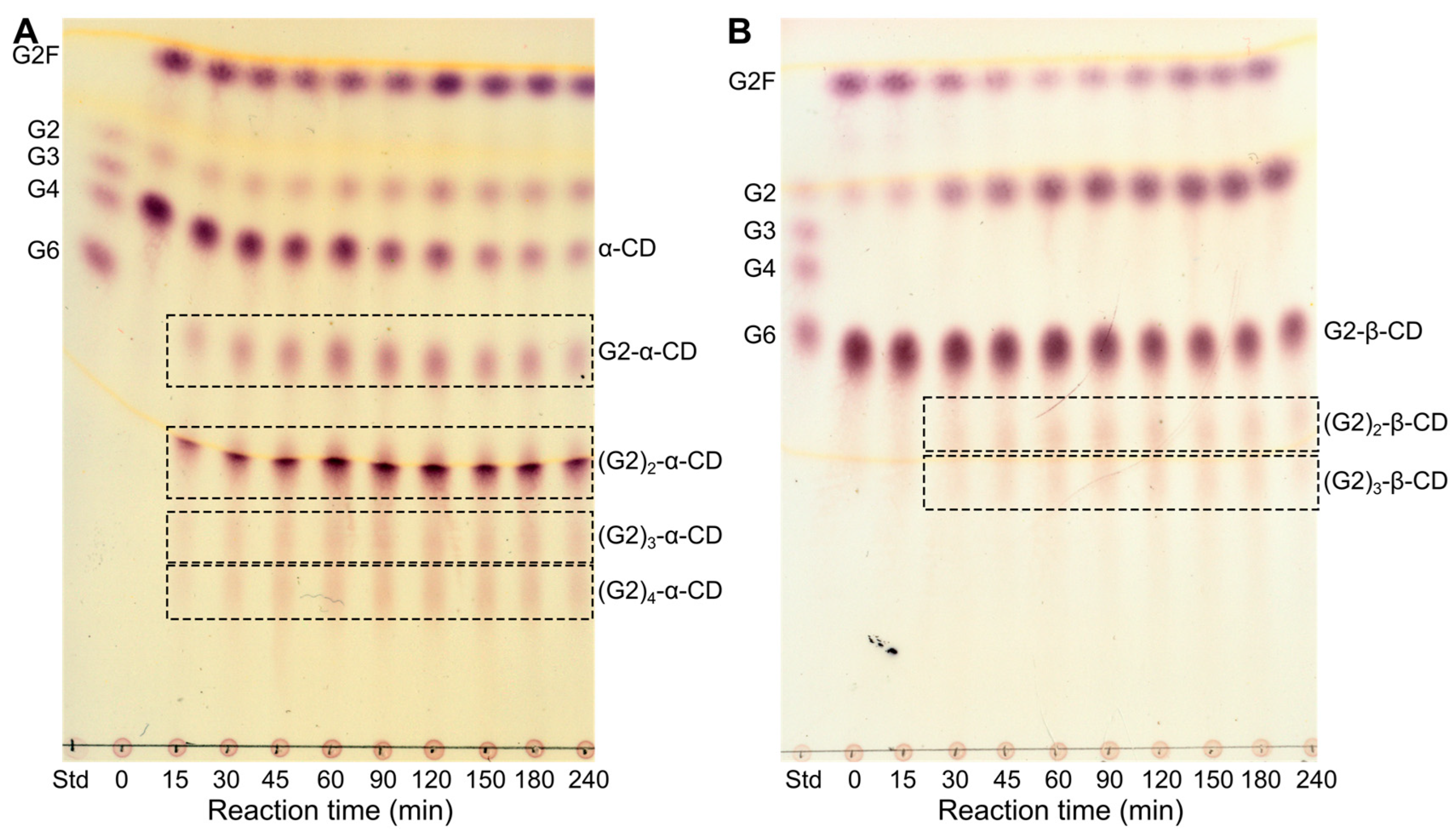Molecules 28 04111 g006 Molecules 28 04111 g006