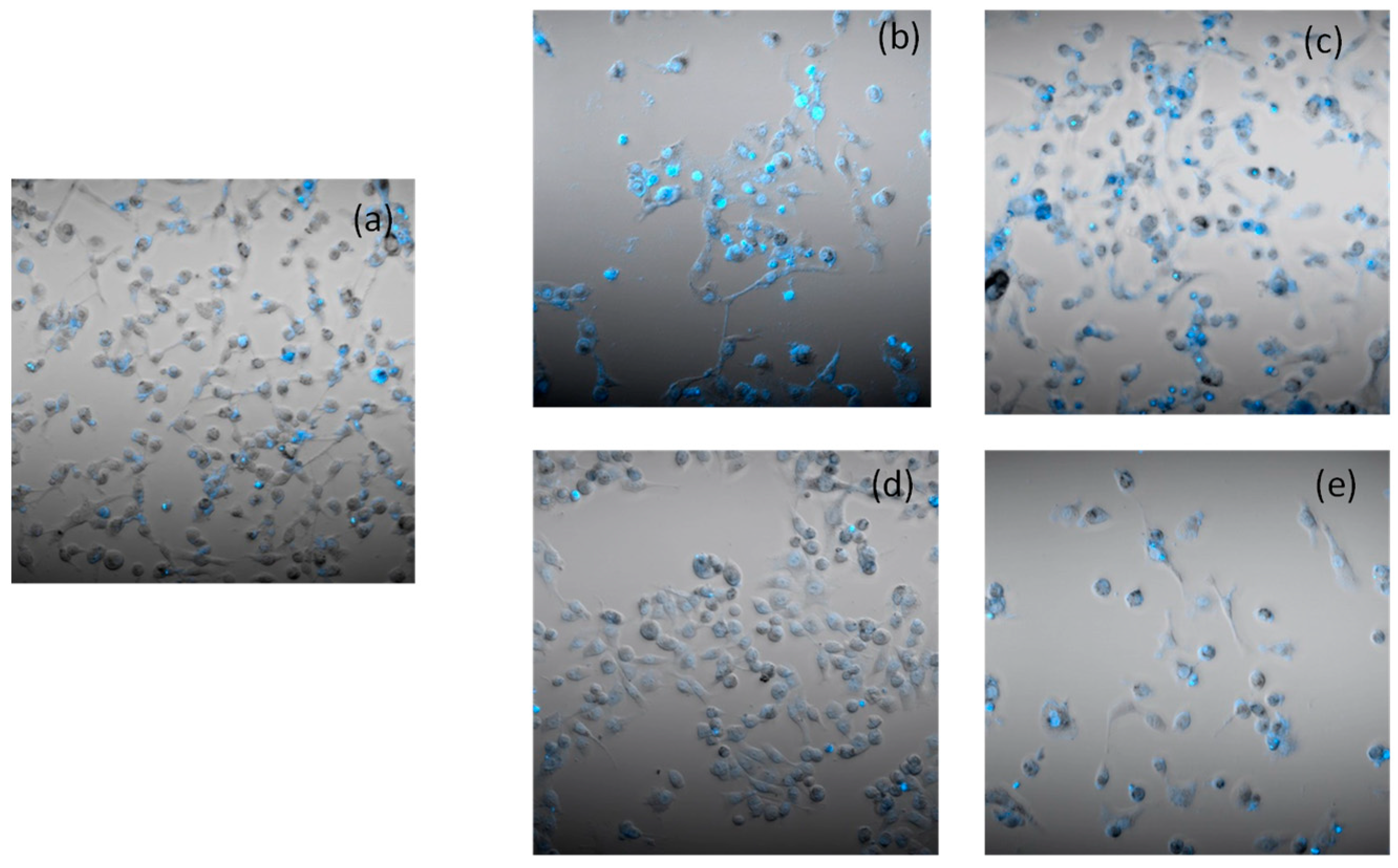 Molecules 28 04112 g006 Molecules 28 04112 g006