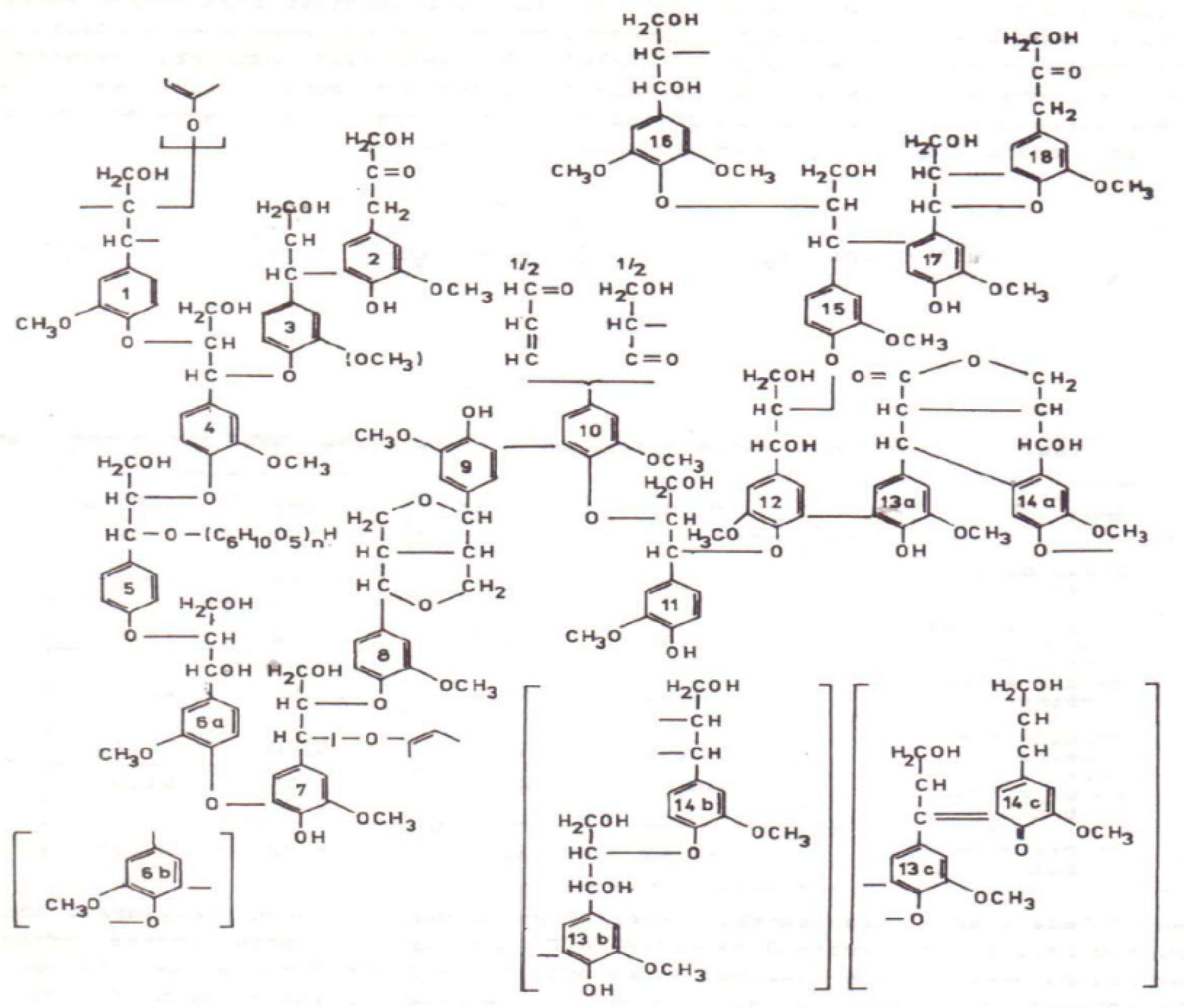 Molecules 28 04114 g001