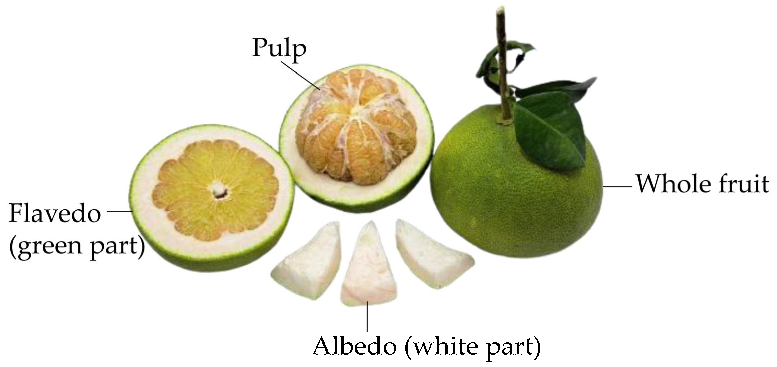 Molecules 28 04121 g005