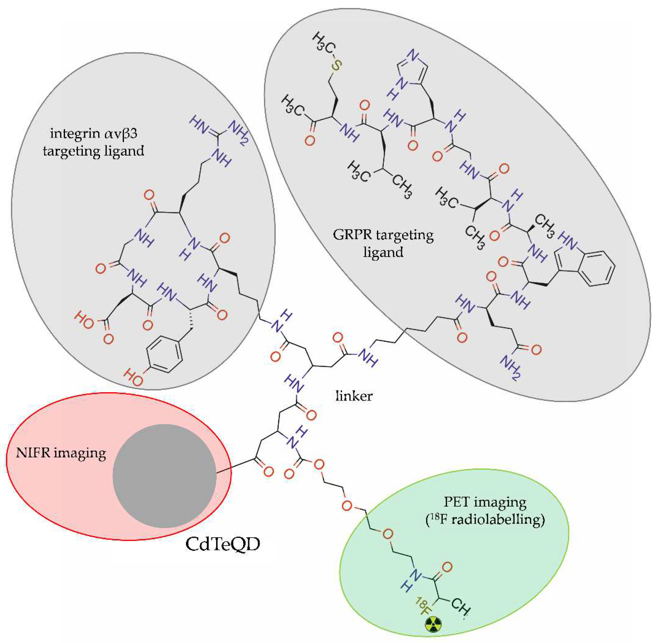 Molecules 28 04122 g006 Molecules 28 04122 g006