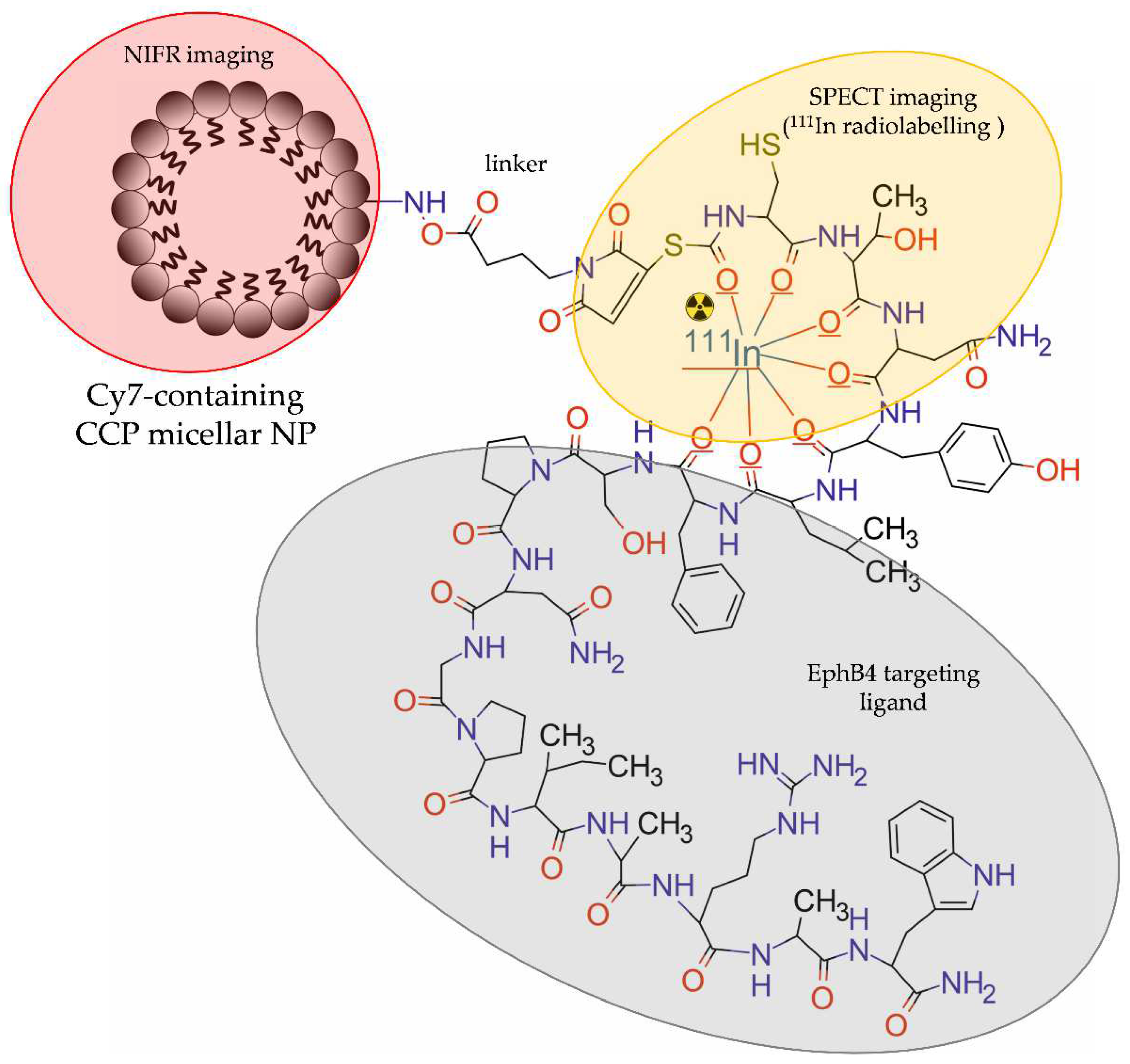 Molecules 28 04122 g009 Molecules 28 04122 g009