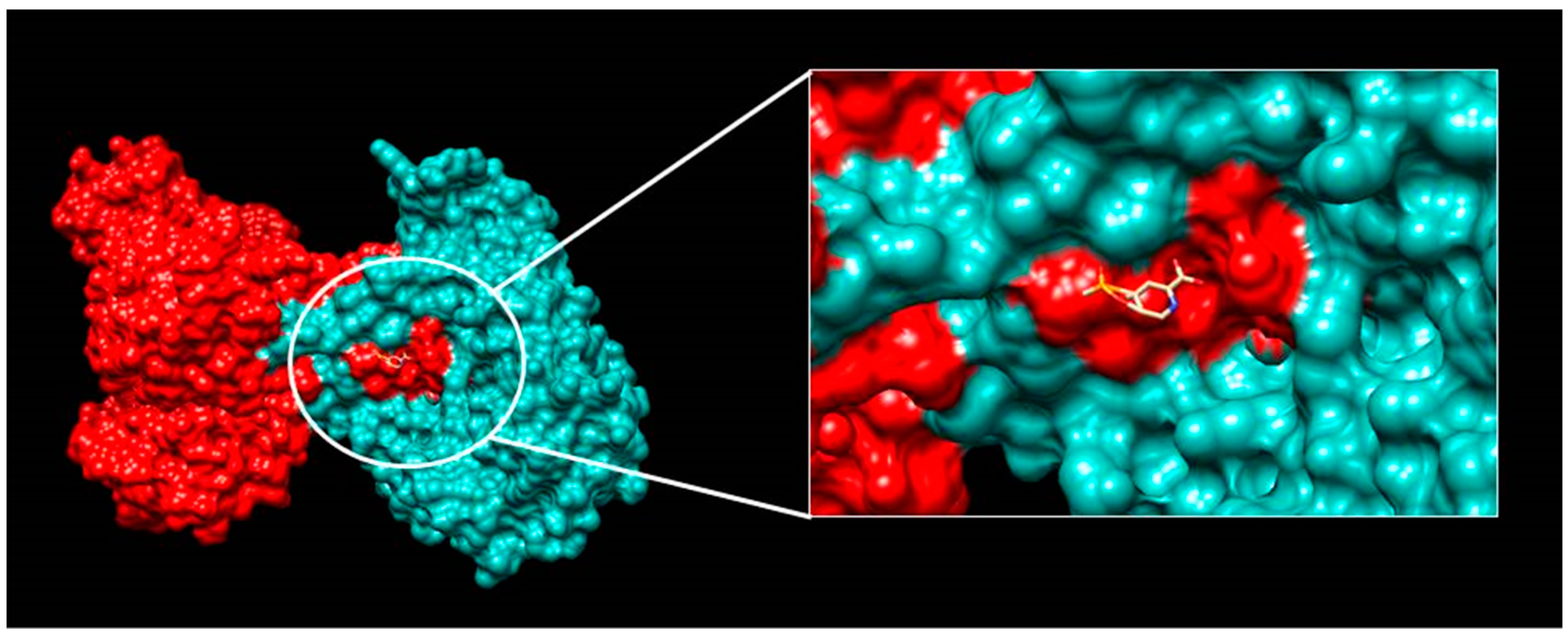 Molecules 28 04123 g004