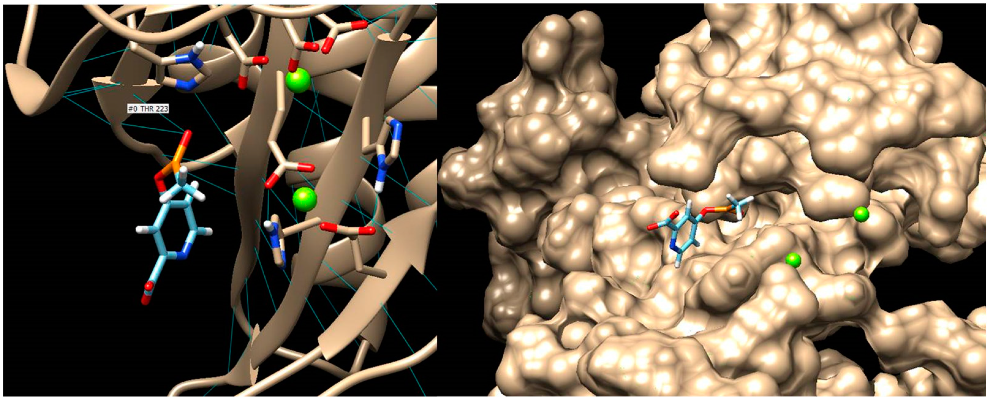 Molecules 28 04123 g006