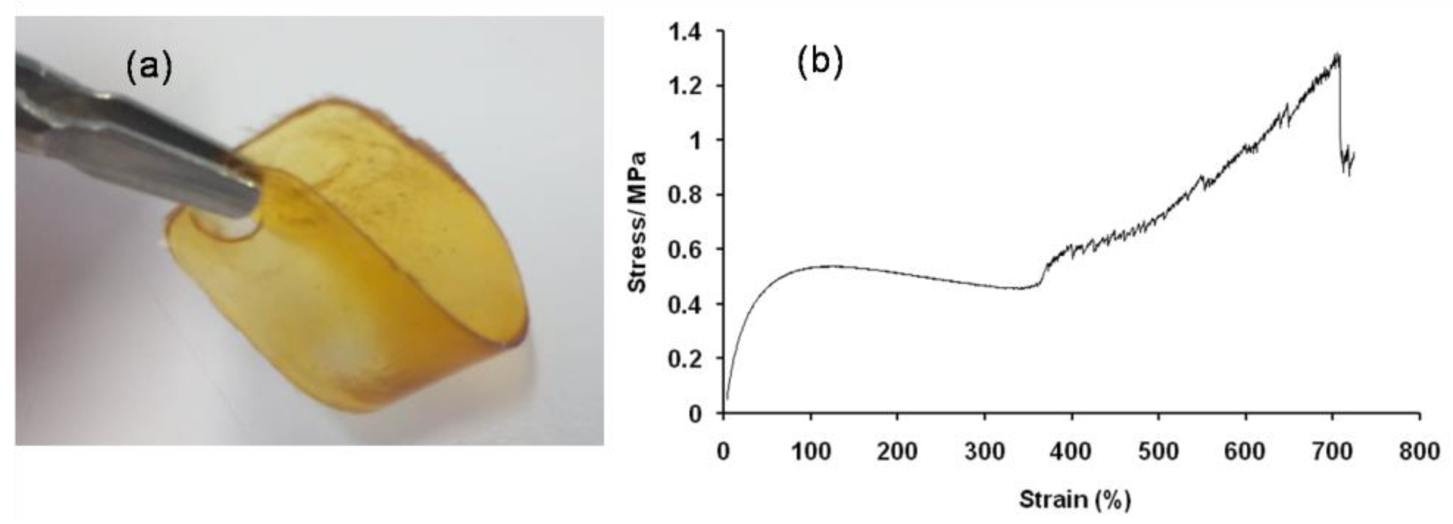Molecules 28 04124 g005 Molecules 28 04124 g005