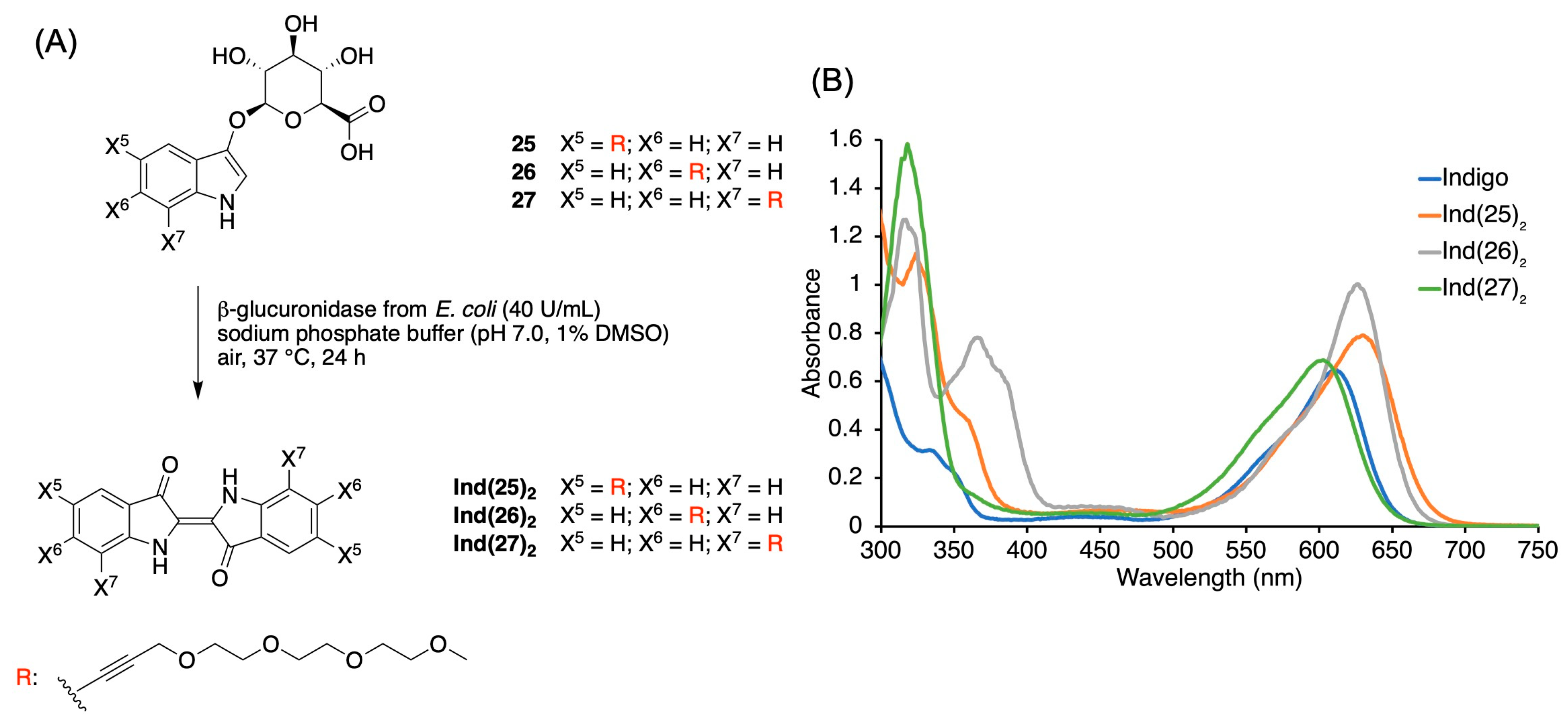 Molecules 28 04143 g001
