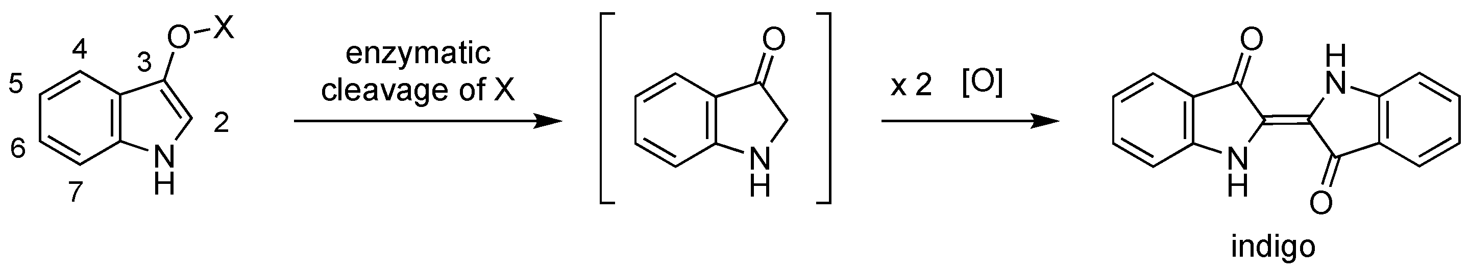 Molecules 28 04143 sch001