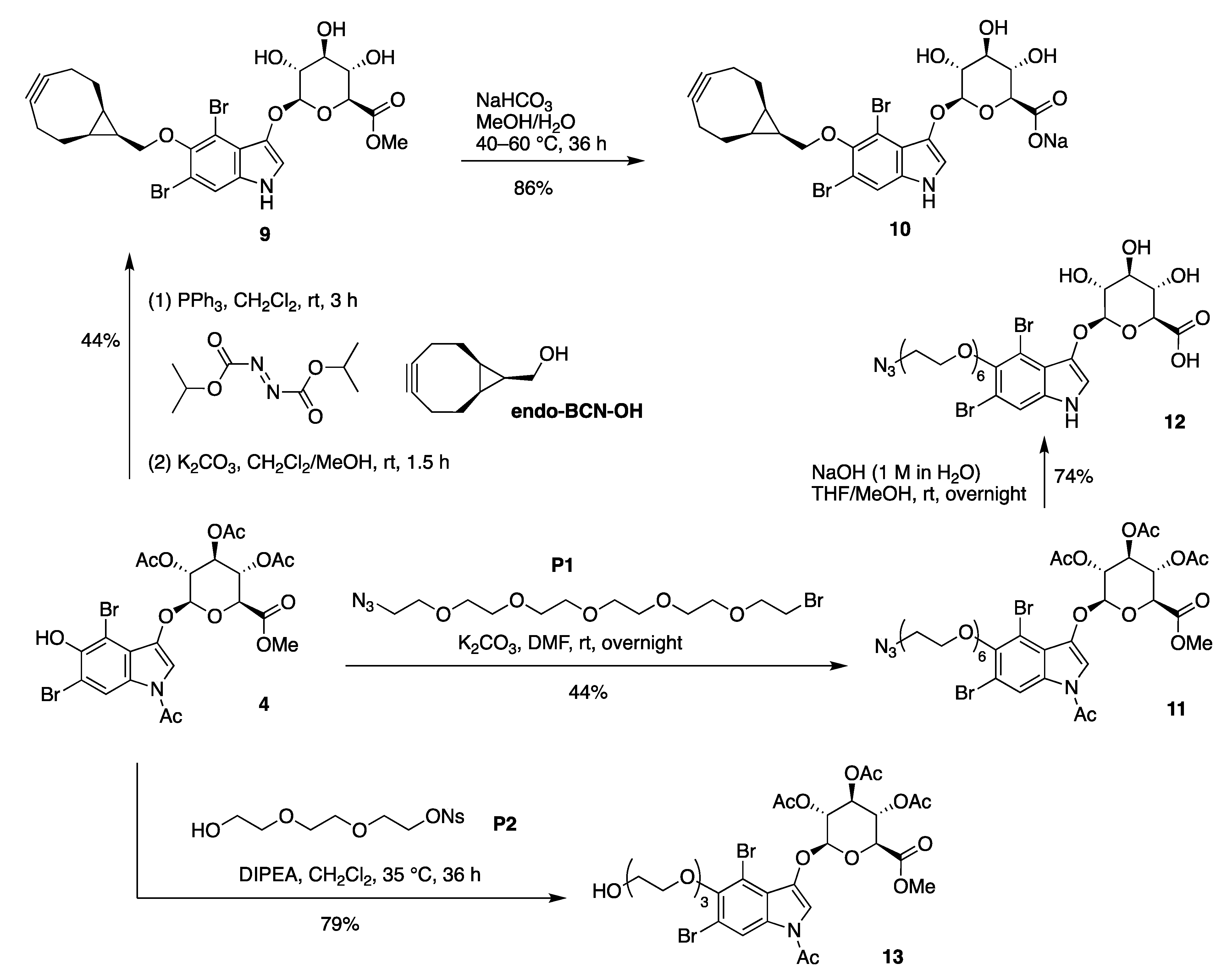 Molecules 28 04143 sch004