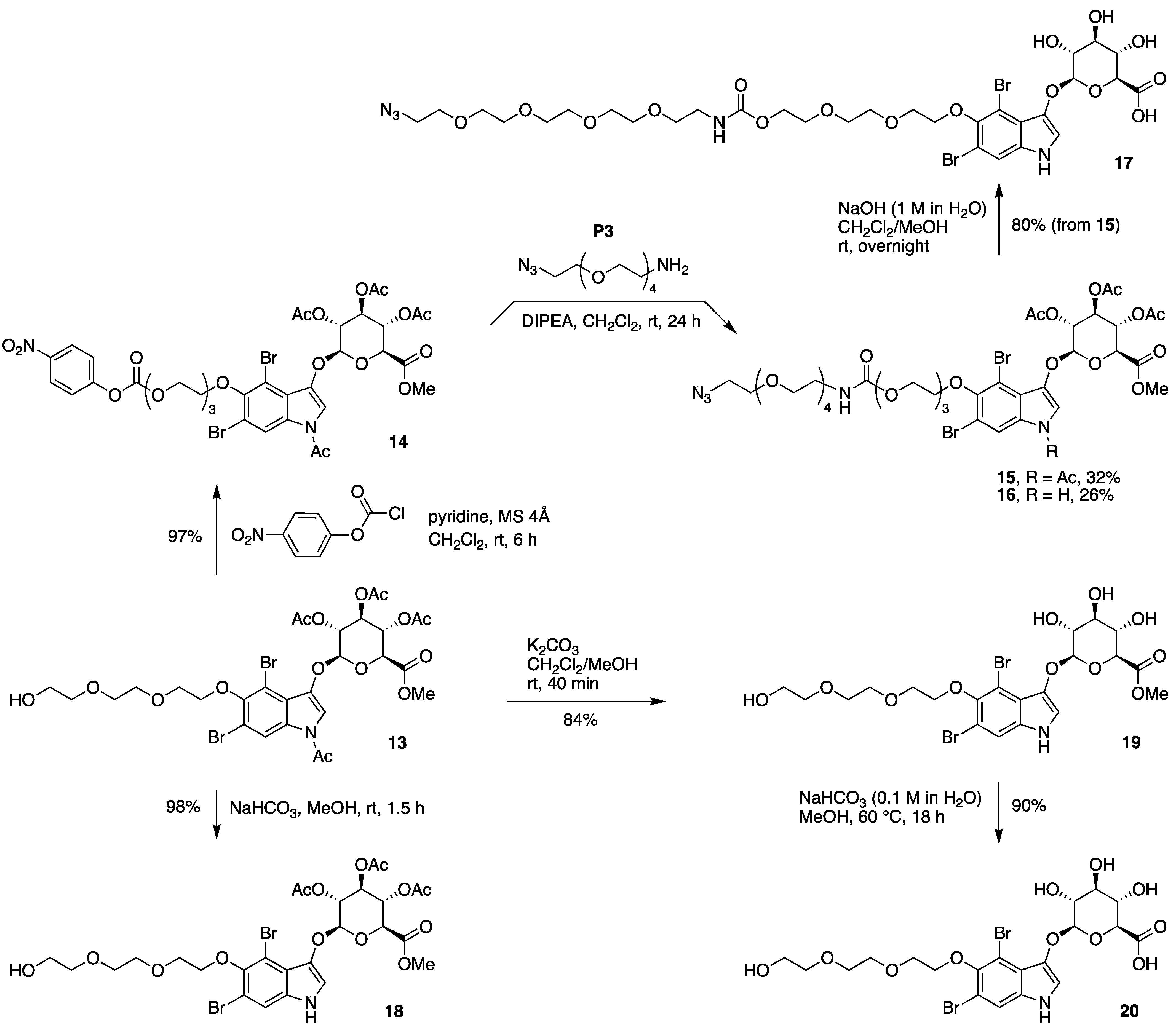 Molecules 28 04143 sch005