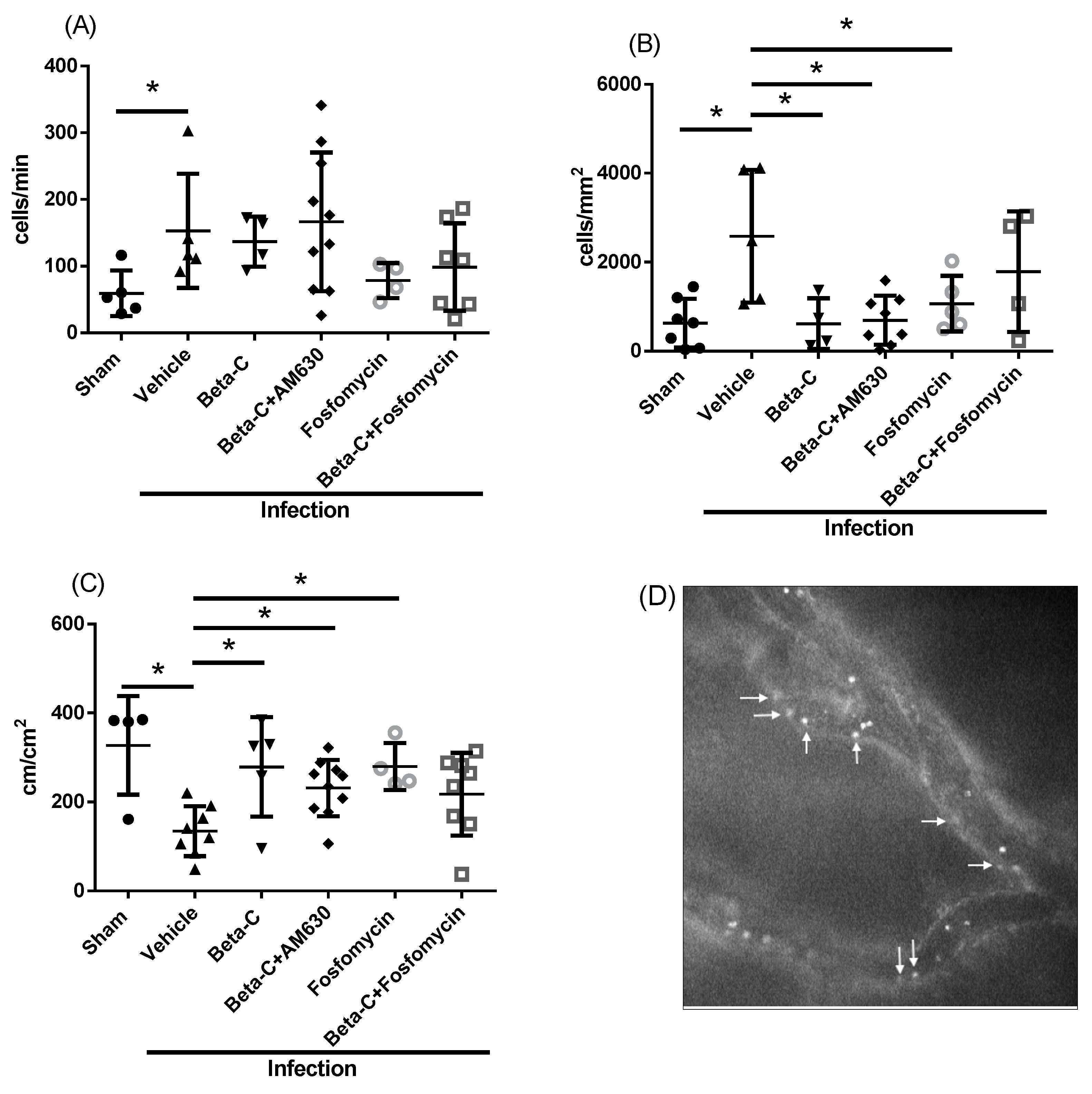 Molecules 28 04144 g004 Molecules 28 04144 g004