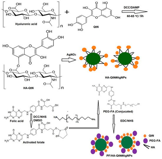 Molecules Free FullText Targeted Drug Administration onto Cancer