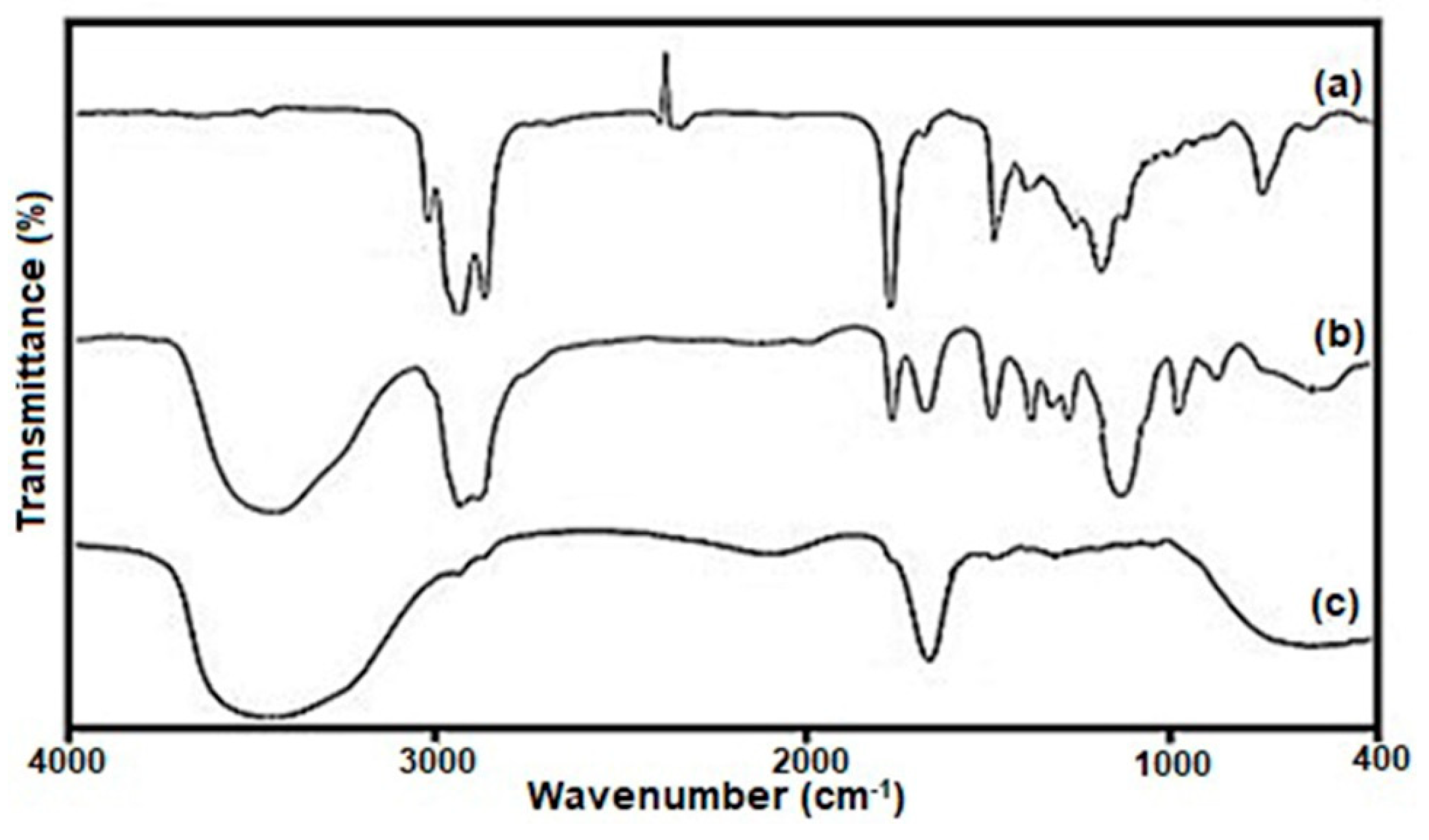 Molecules 28 04146 g004