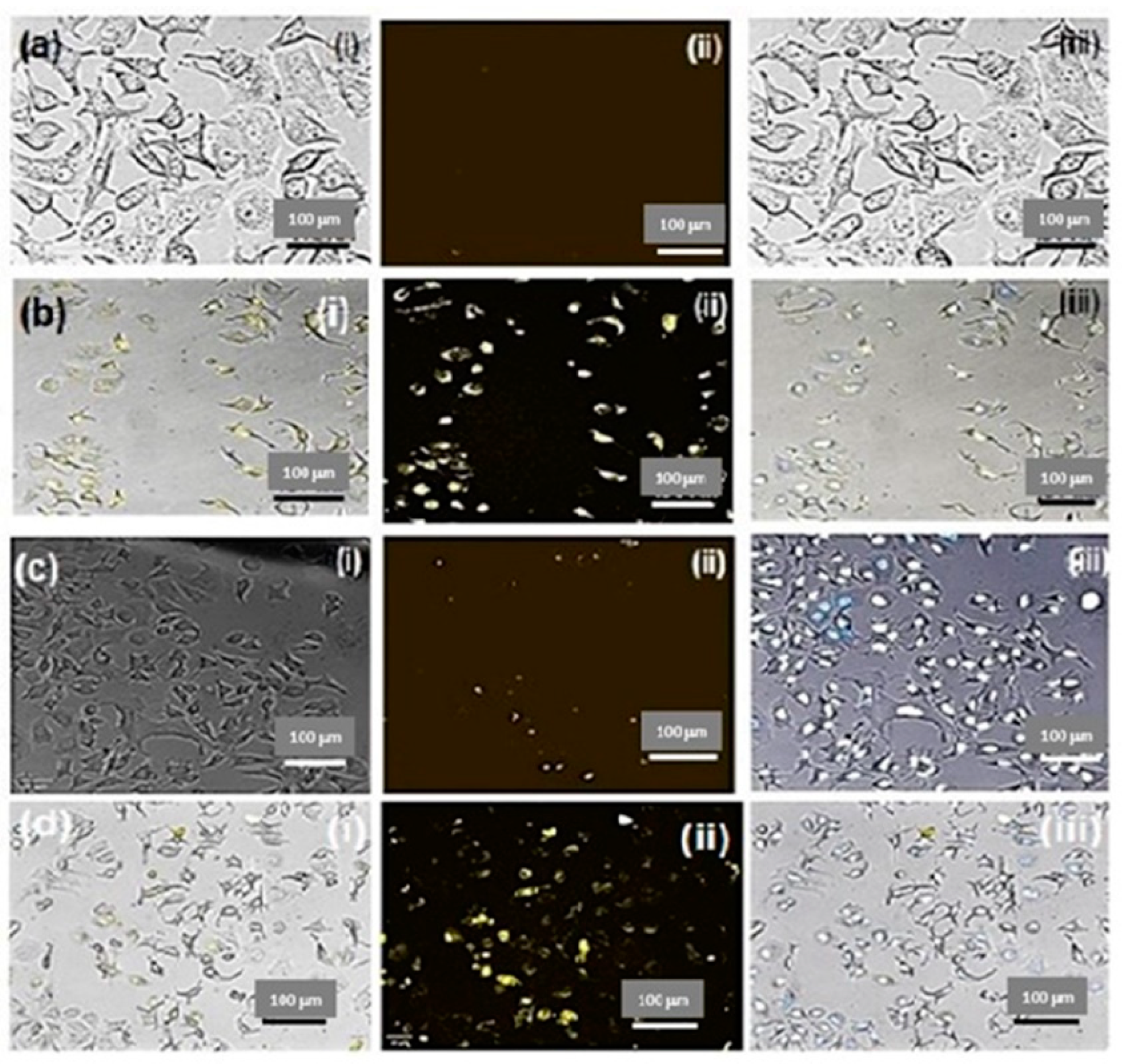 Molecules 28 04146 g007