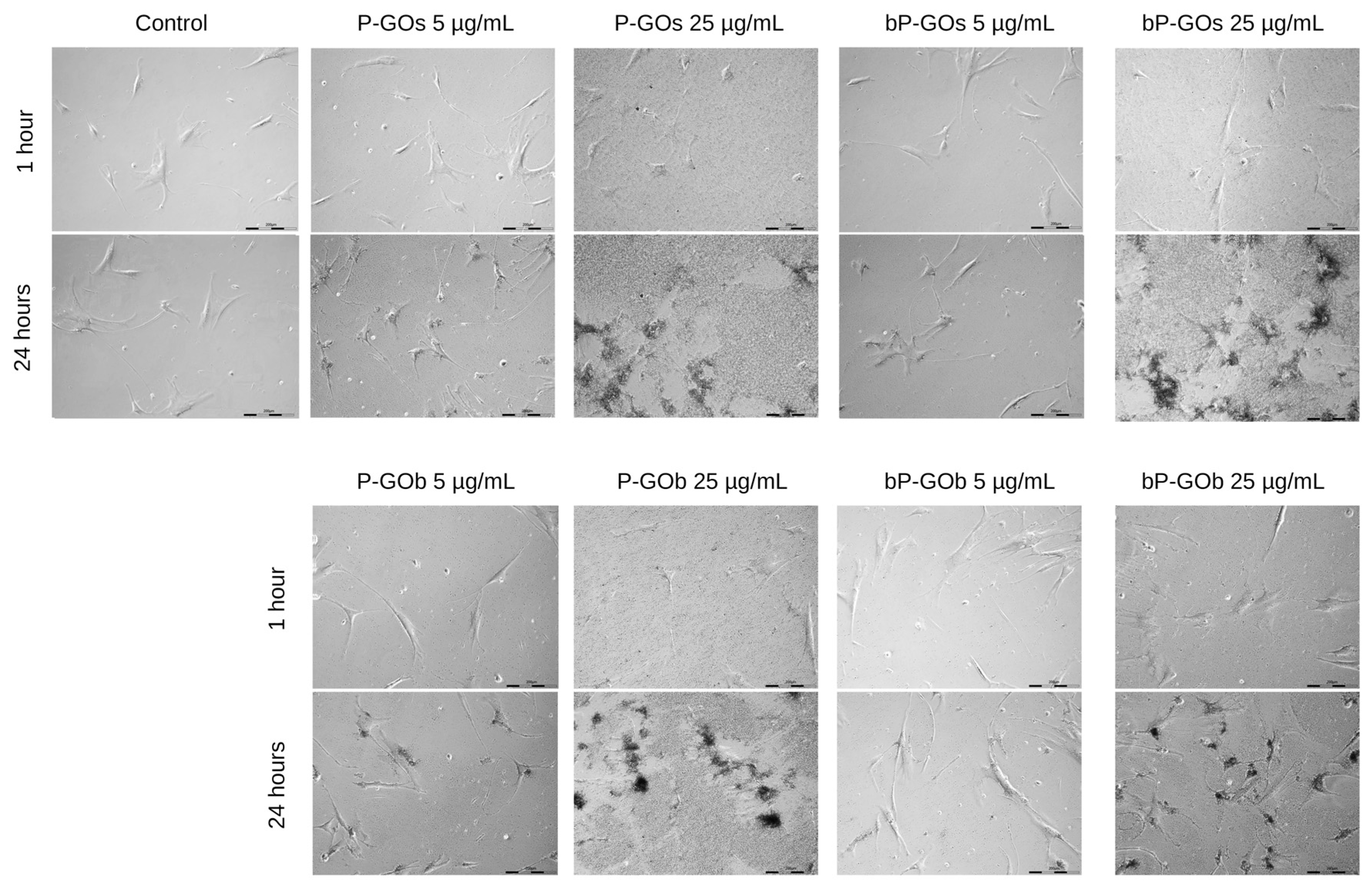 Molecules 28 04148 g003 Molecules 28 04148 g003