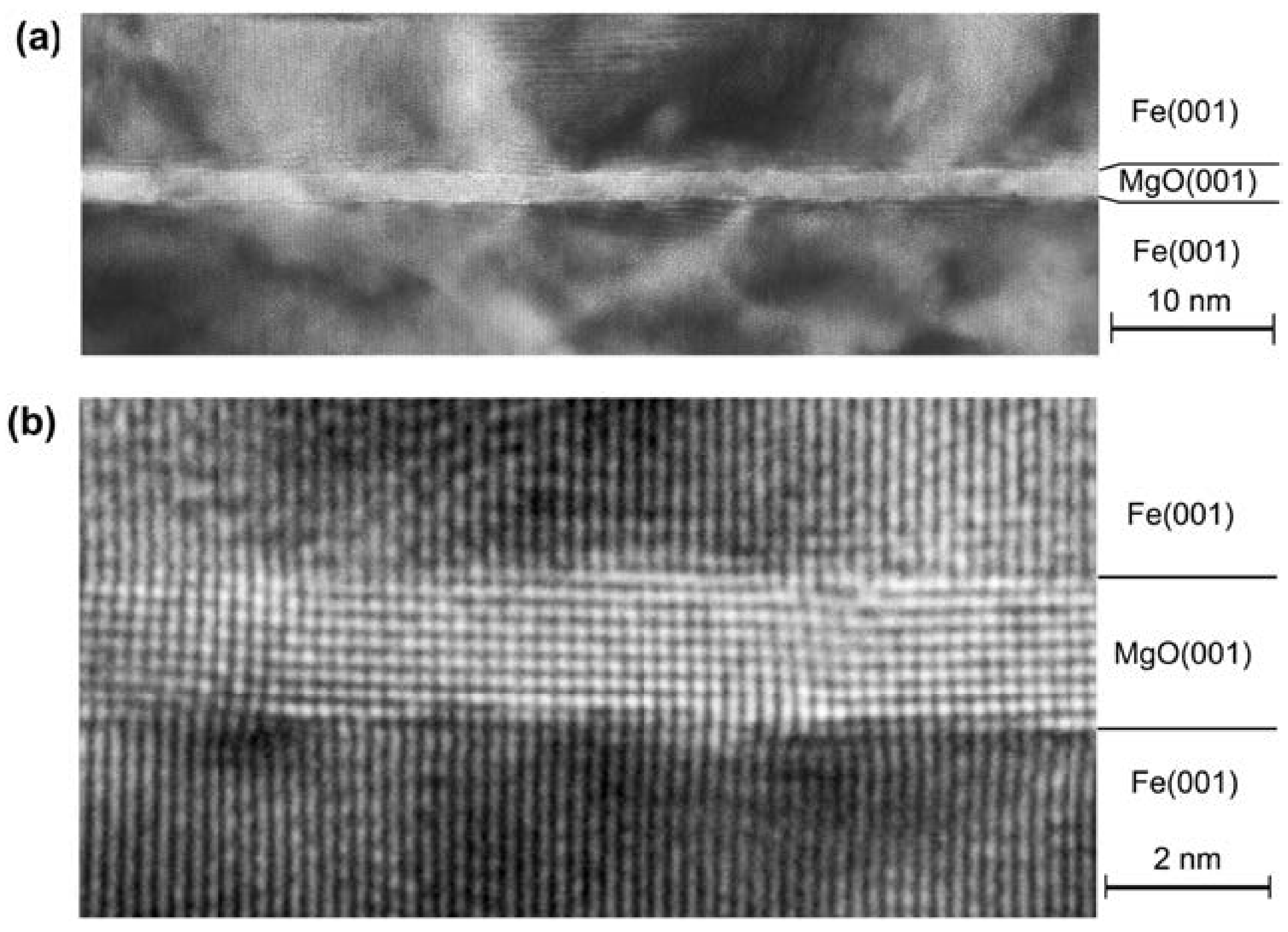 Molecules 28 04151 g002 Molecules 28 04151 g002