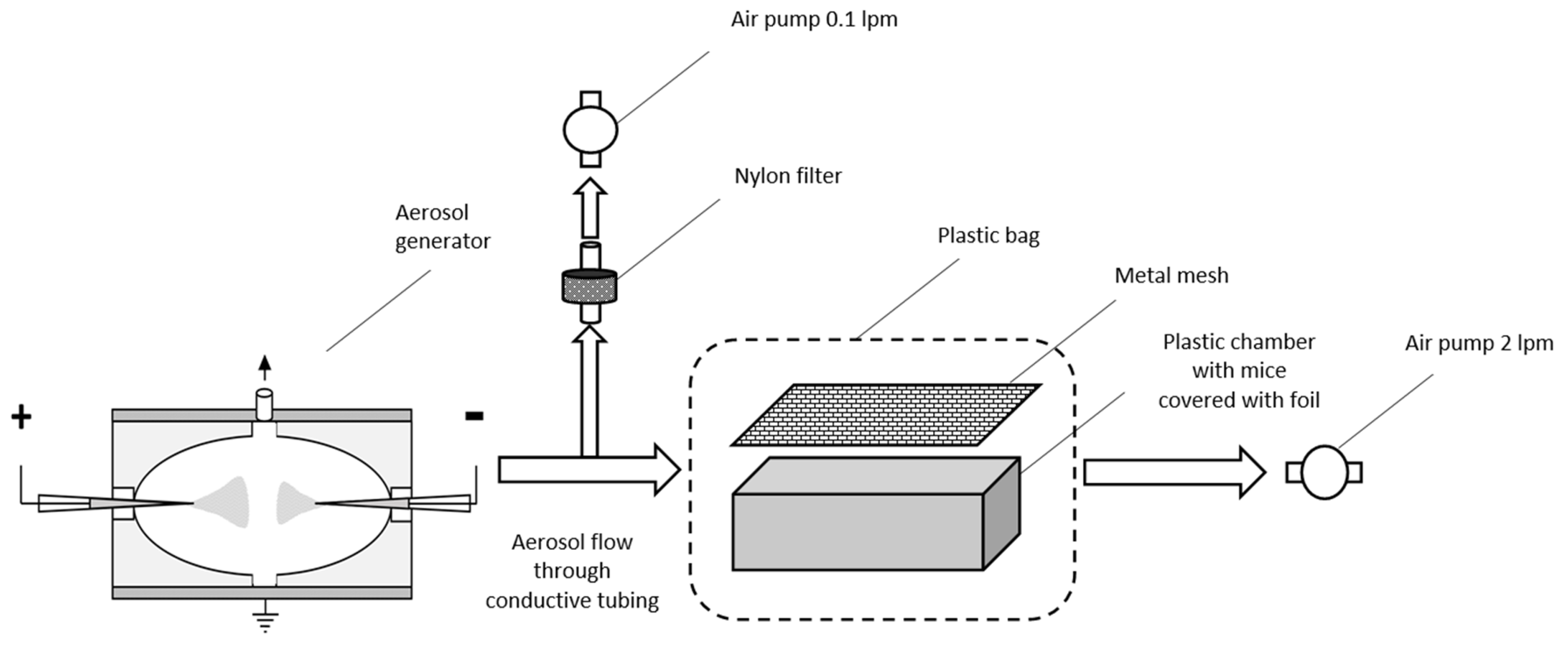 Molecules 28 04157 g005 Molecules 28 04157 g005