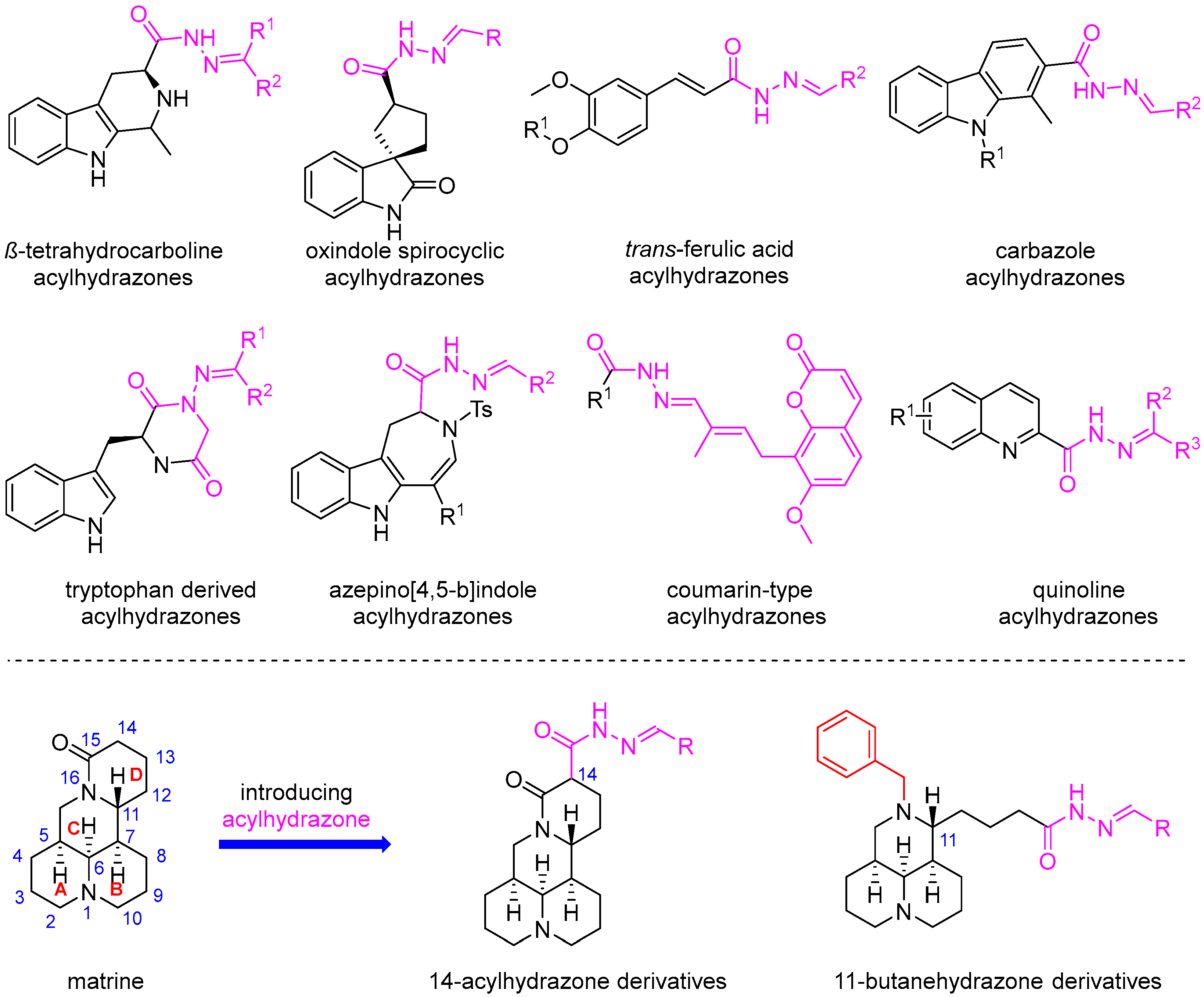 Design, Synthesis and Various Bioactivity of Acylhydrazone