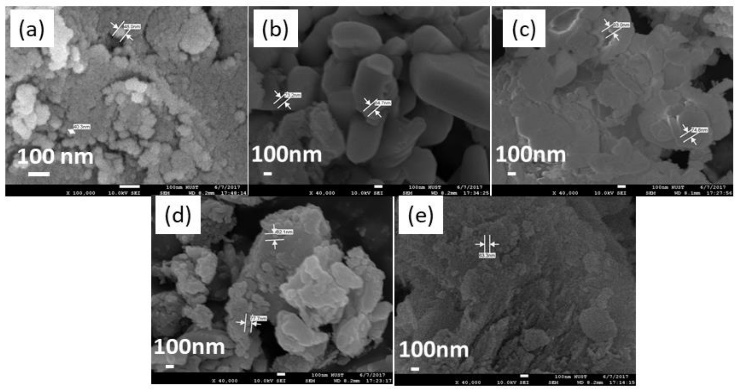 Molecules 28 04164 g003 Molecules 28 04164 g003