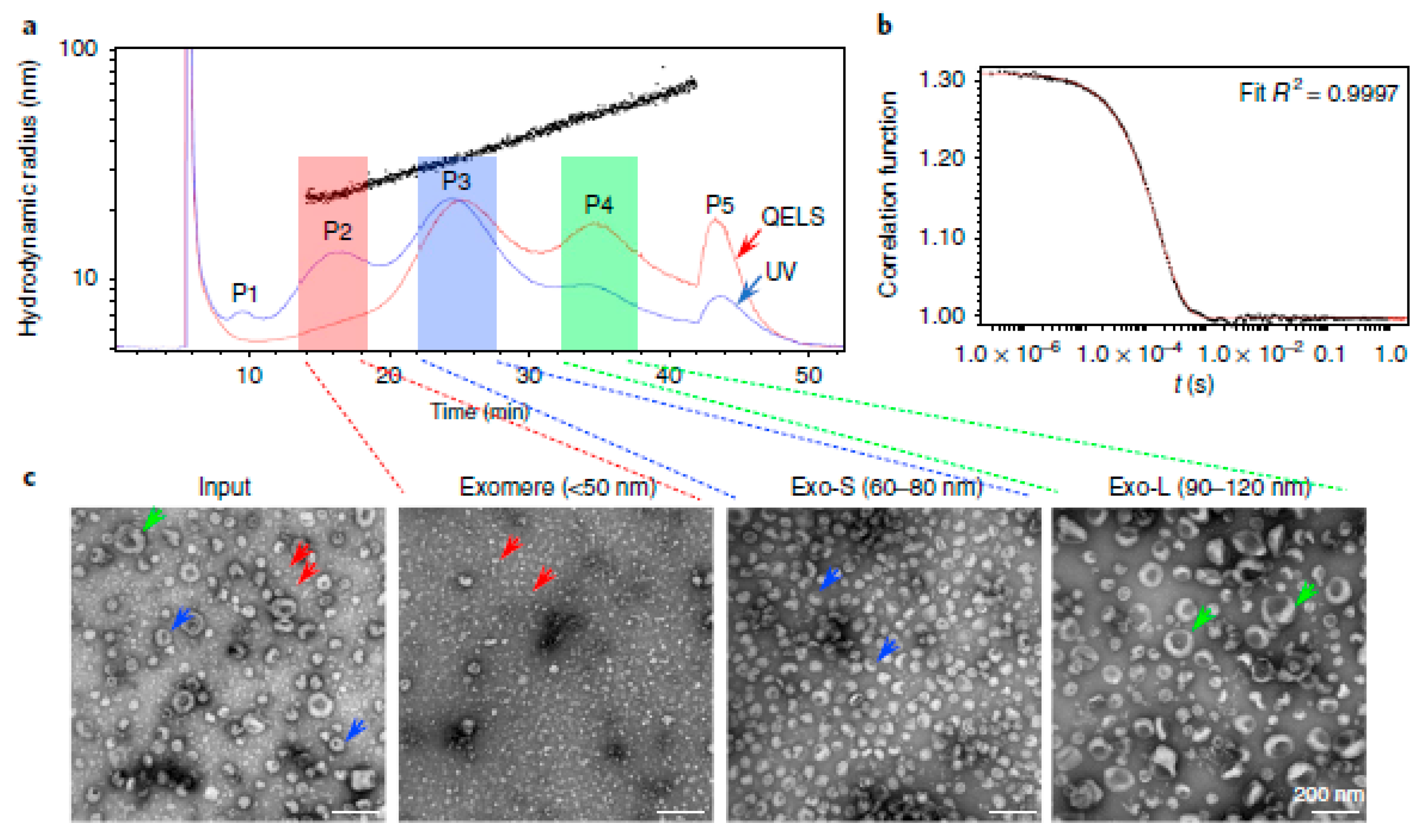 Molecules 28 04169 g010 Molecules 28 04169 g010