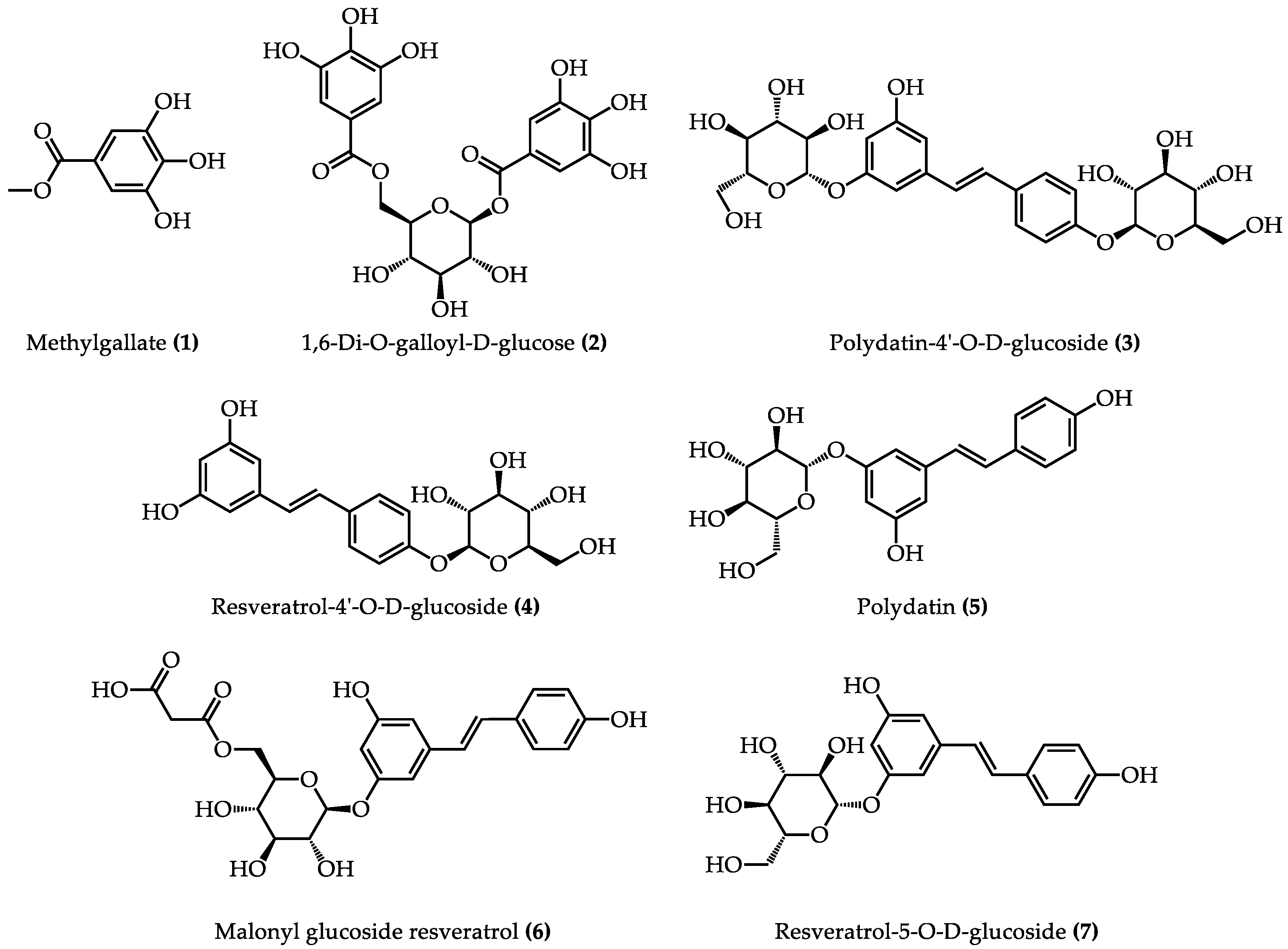 Molecules 28 04170 g004 Molecules 28 04170 g004