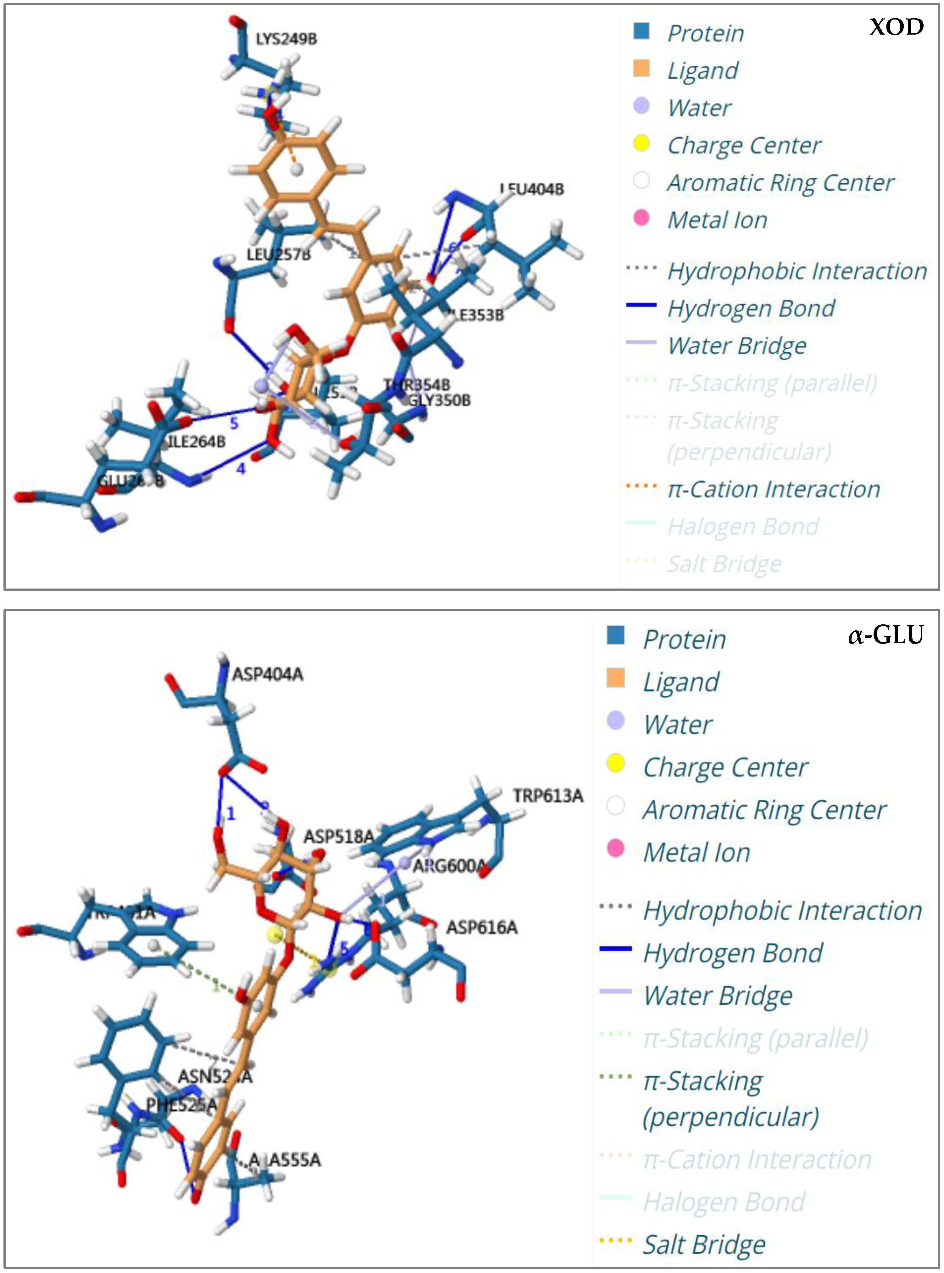 Molecules 28 04170 g005b Molecules 28 04170 g005b