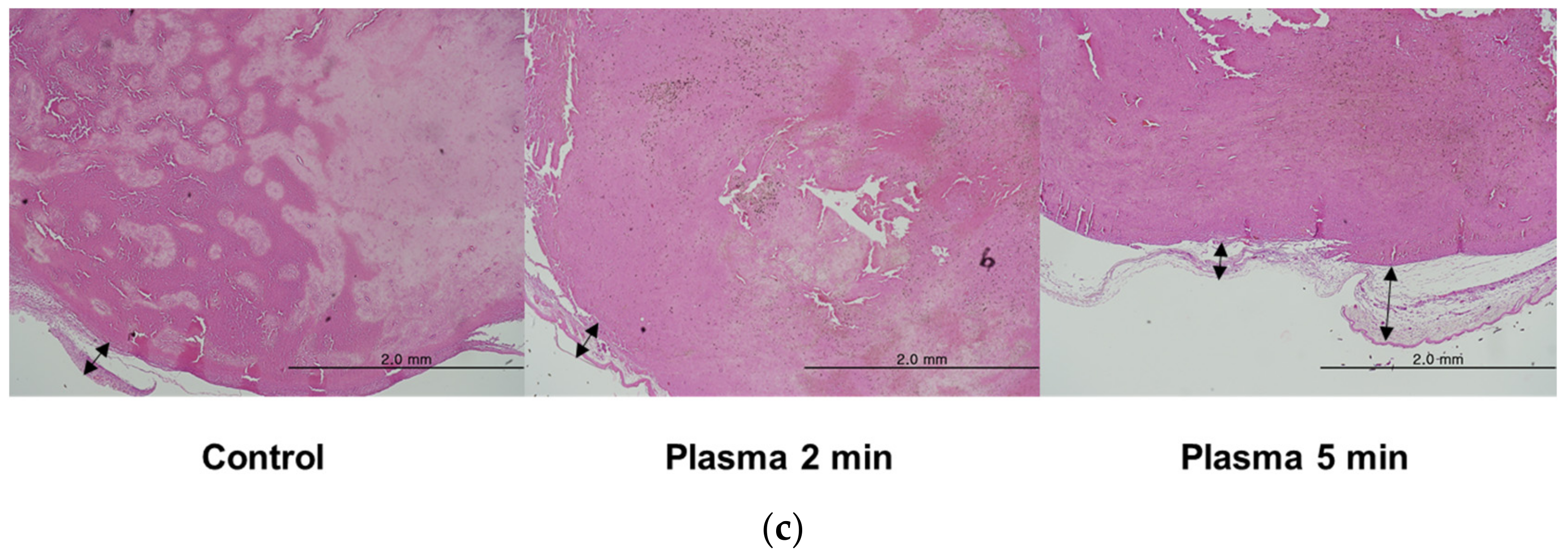 Molecules 28 04171 g004b Molecules 28 04171 g004b