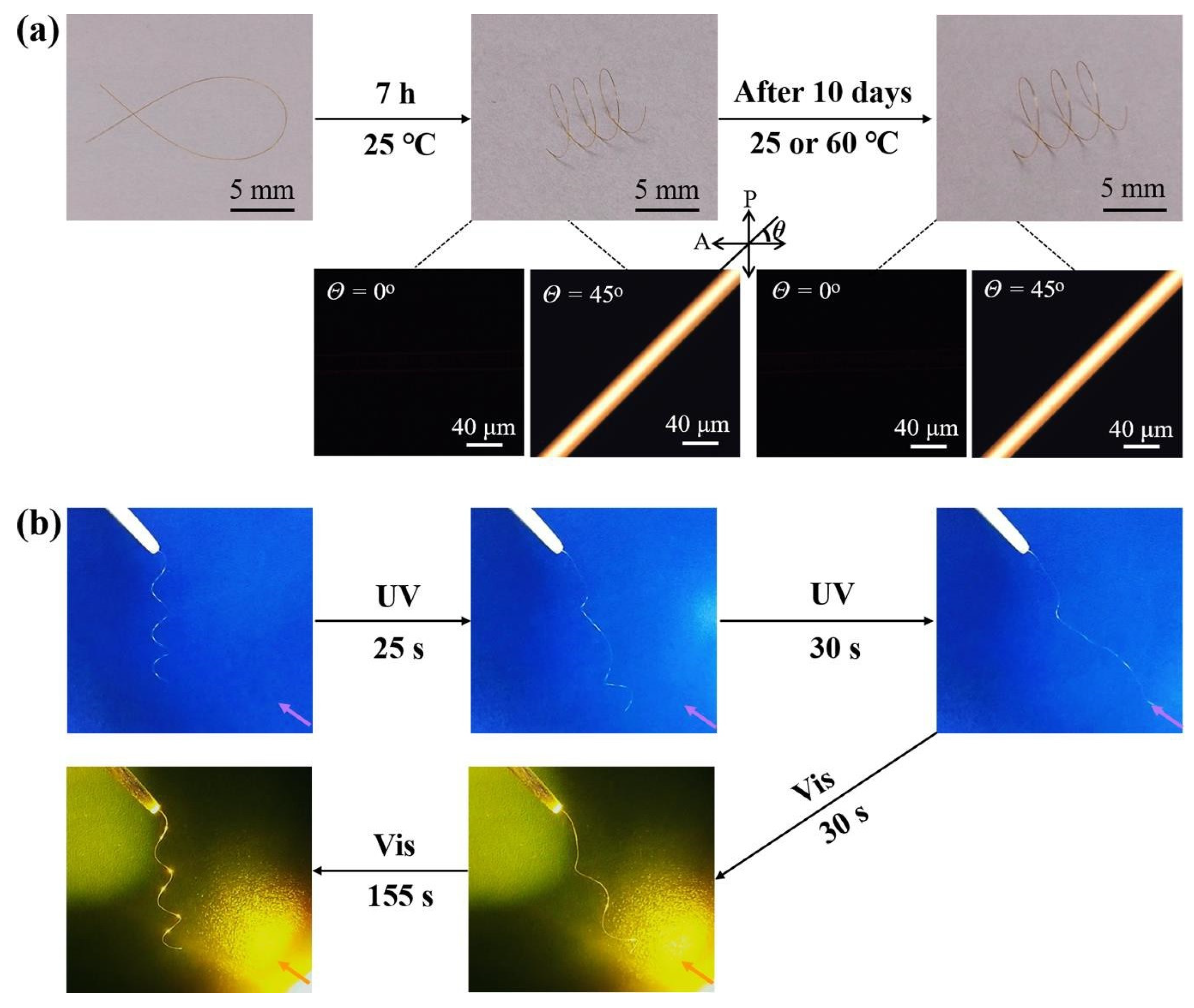Molecules 28 04174 g008 550