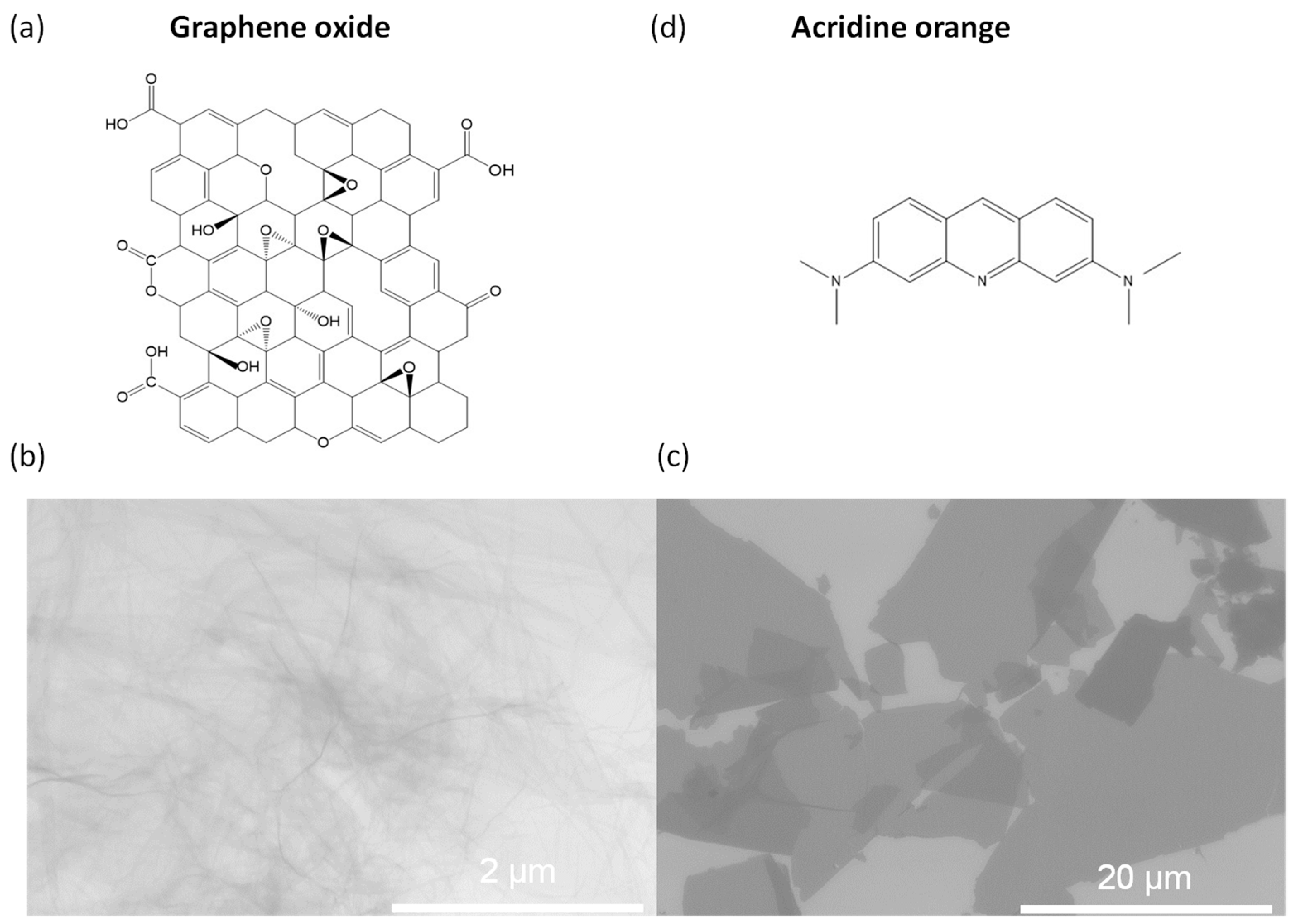 Molecules 28 04179 g001 Molecules 28 04179 g001