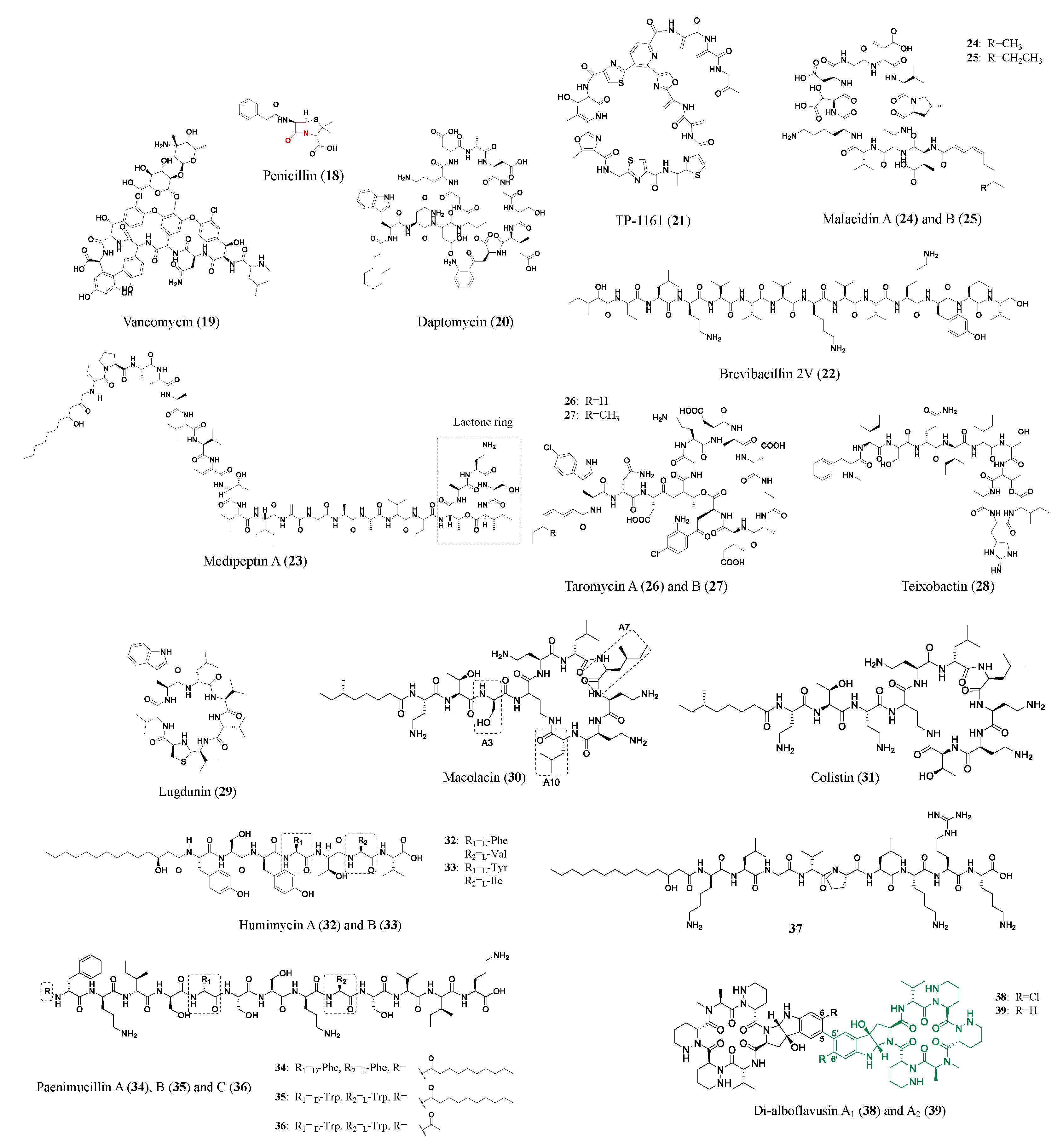 Molecules 28 04183 g003 Molecules 28 04183 g003