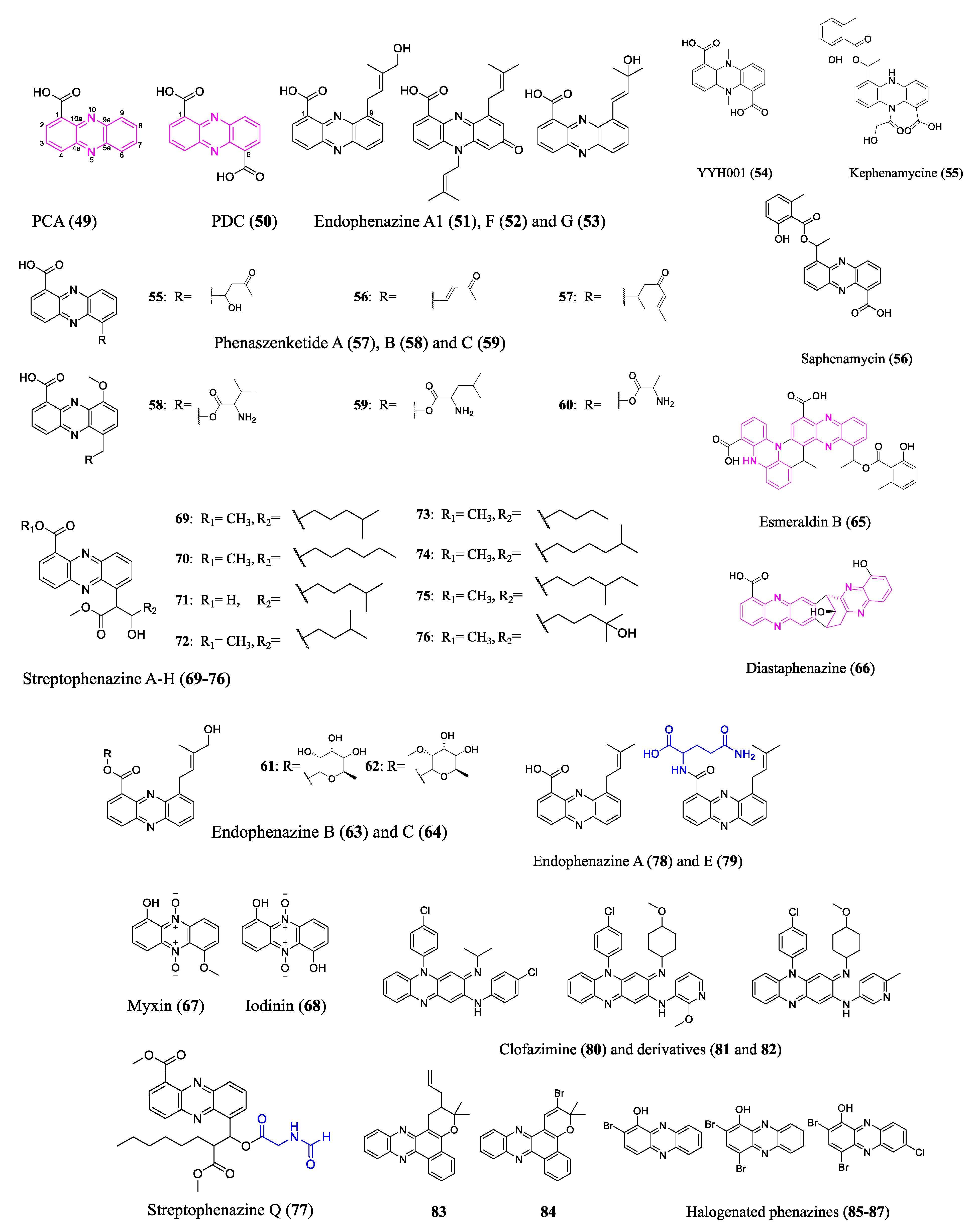 Molecules 28 04183 g005 Molecules 28 04183 g005