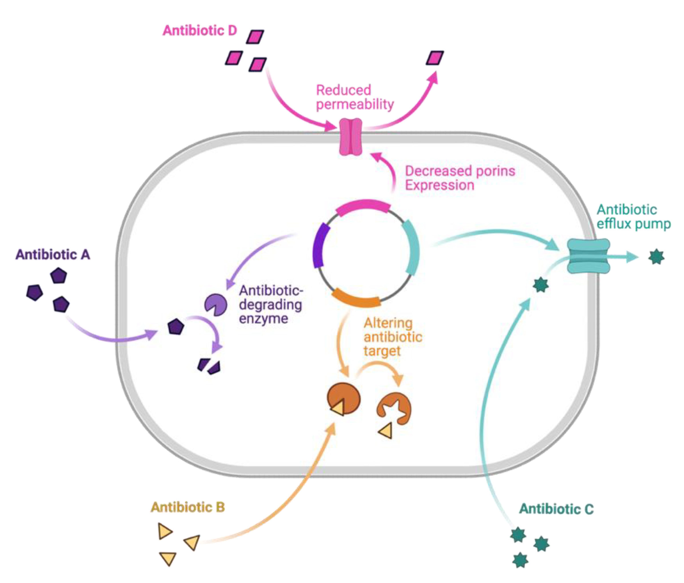 Molecules 28 04183 g007 Molecules 28 04183 g007