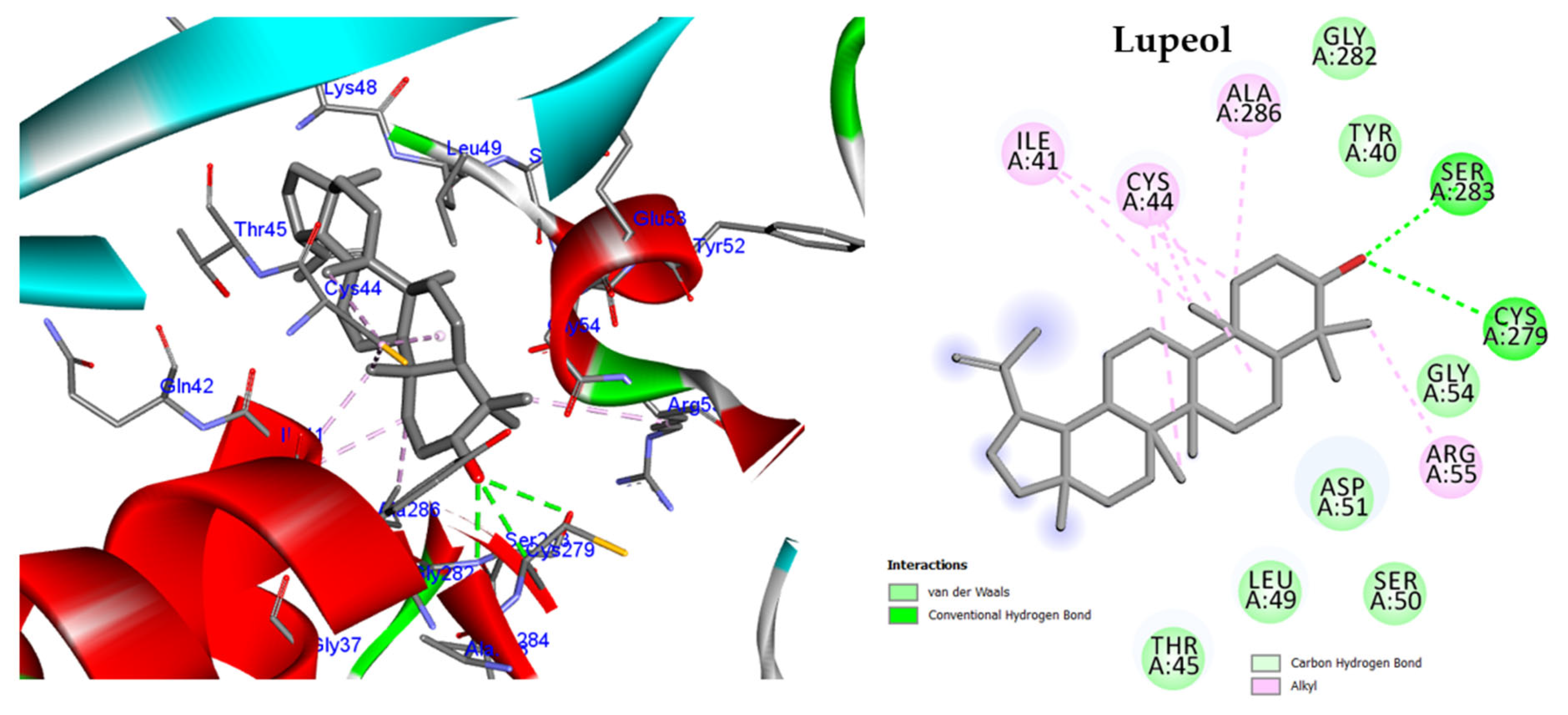 Molecules 28 04184 g009 Molecules 28 04184 g009