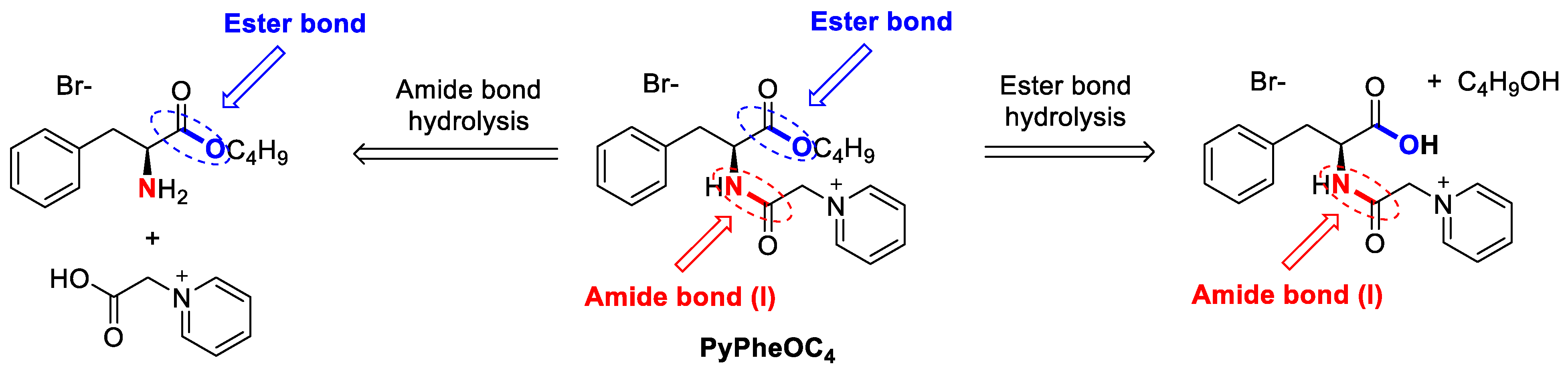 Molecules 28 04185 g004 Molecules 28 04185 g004