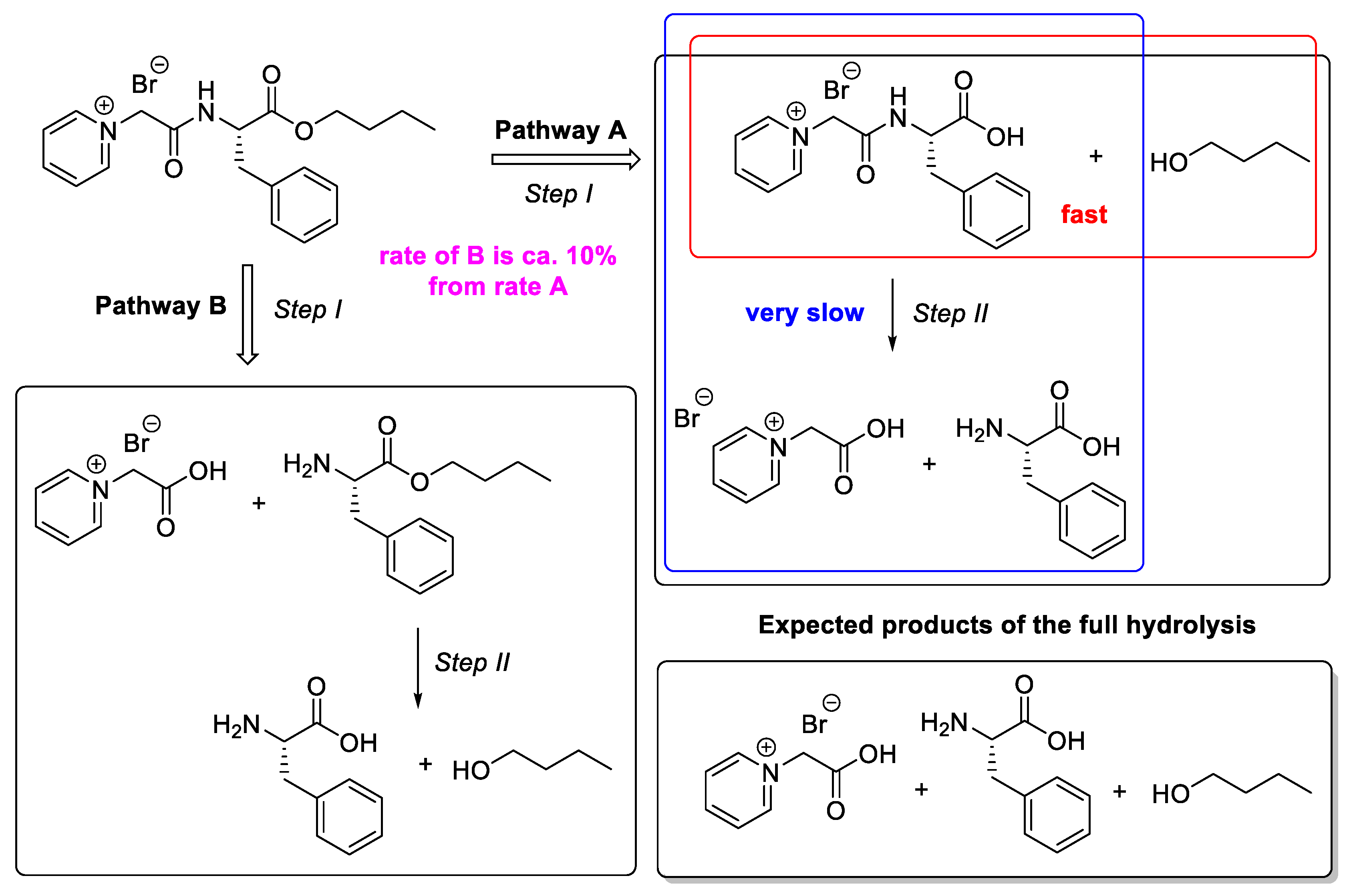 Molecules 28 04185 g007 Molecules 28 04185 g007