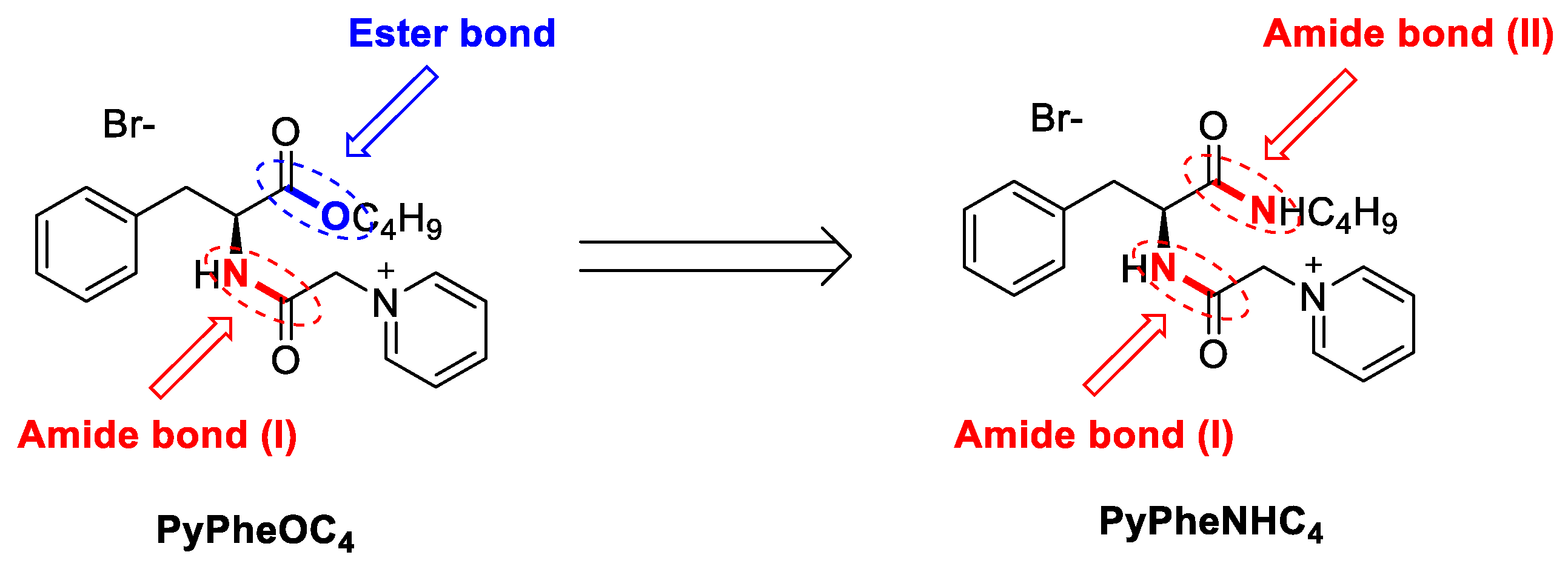 Molecules 28 04185 g008 Molecules 28 04185 g008