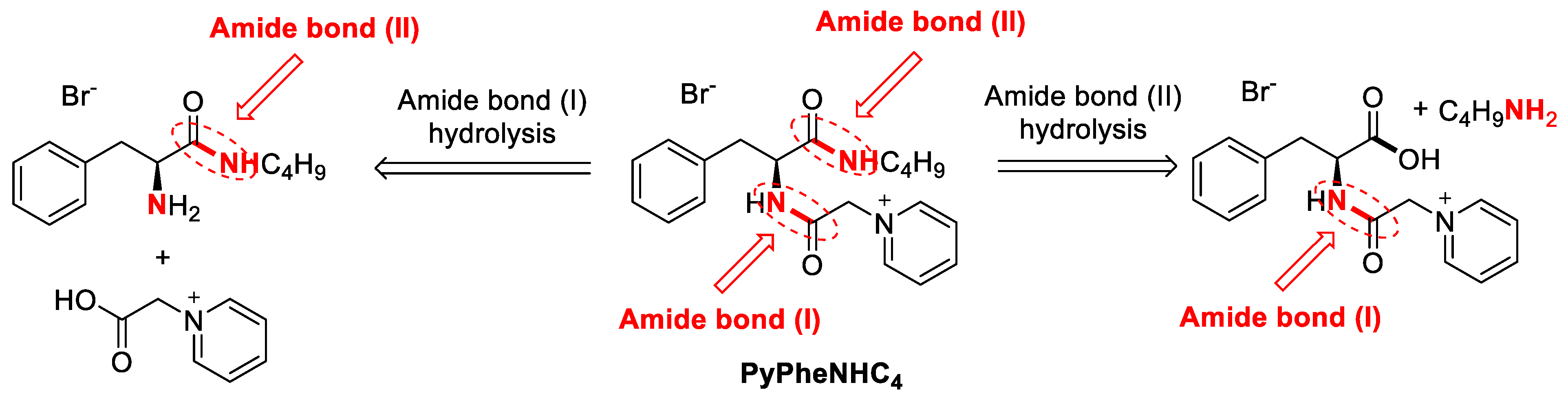 Molecules 28 04185 g009 Molecules 28 04185 g009