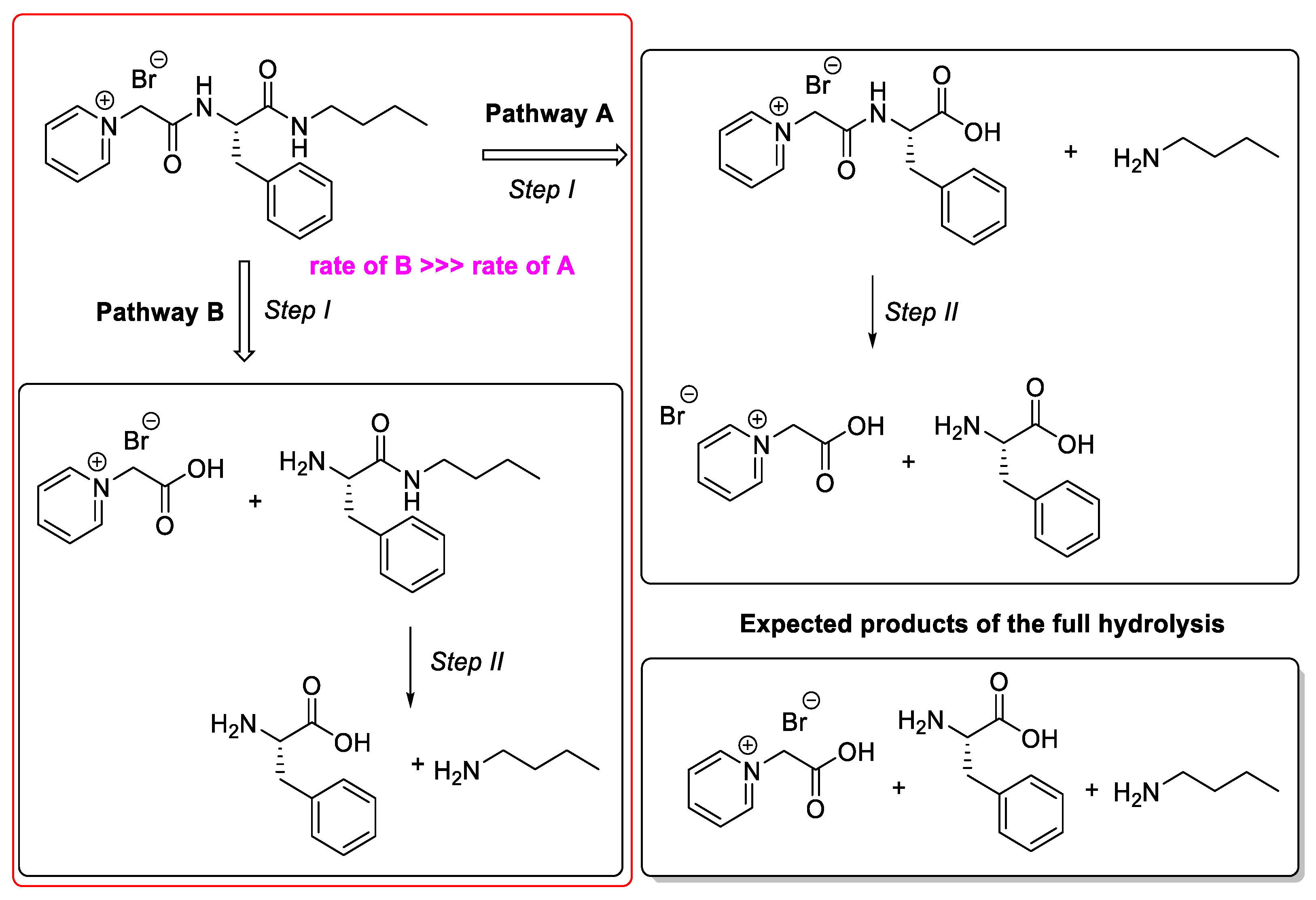Molecules 28 04185 g011 Molecules 28 04185 g011