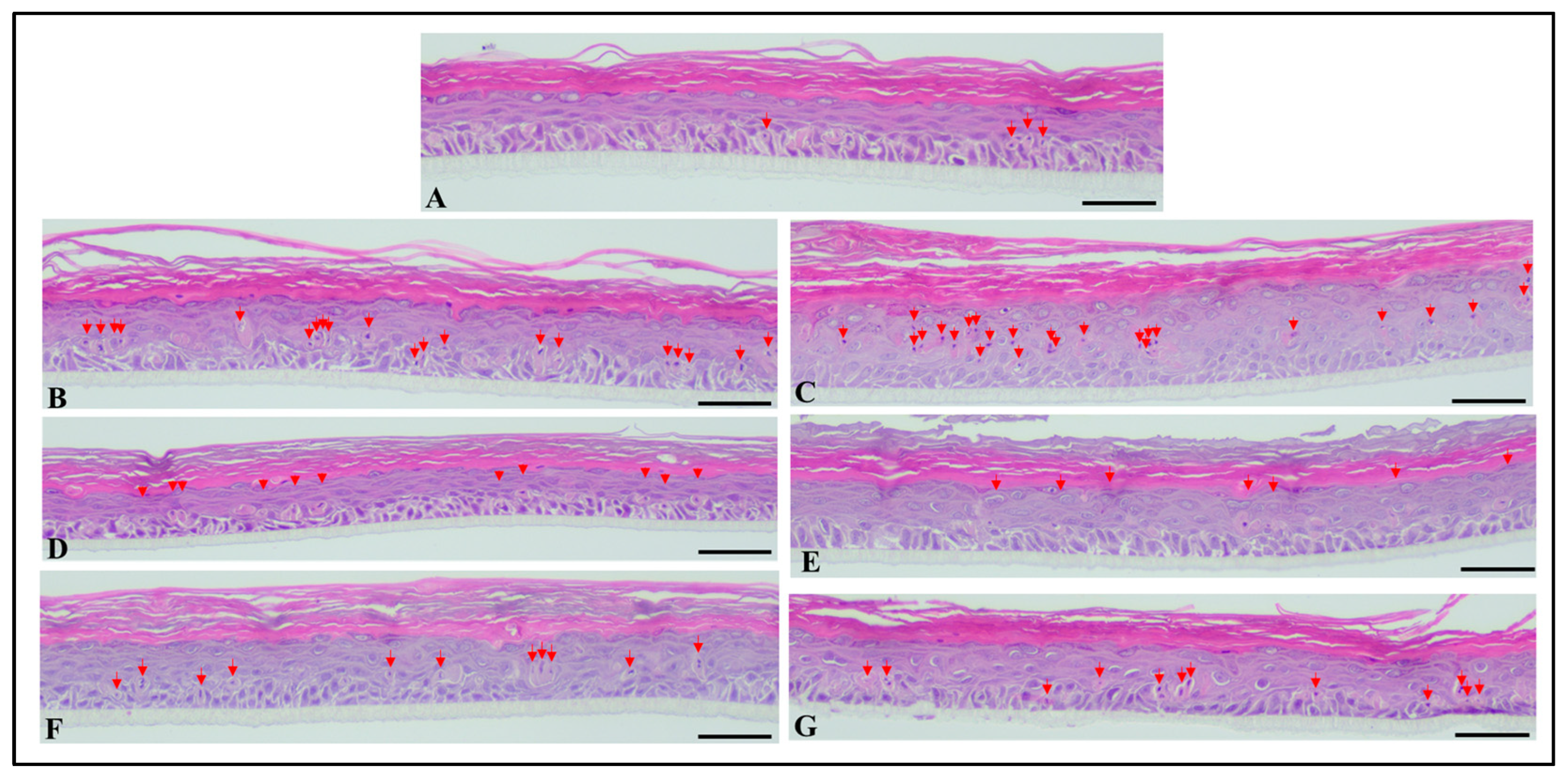 Molecules 28 04190 g009 Molecules 28 04190 g009