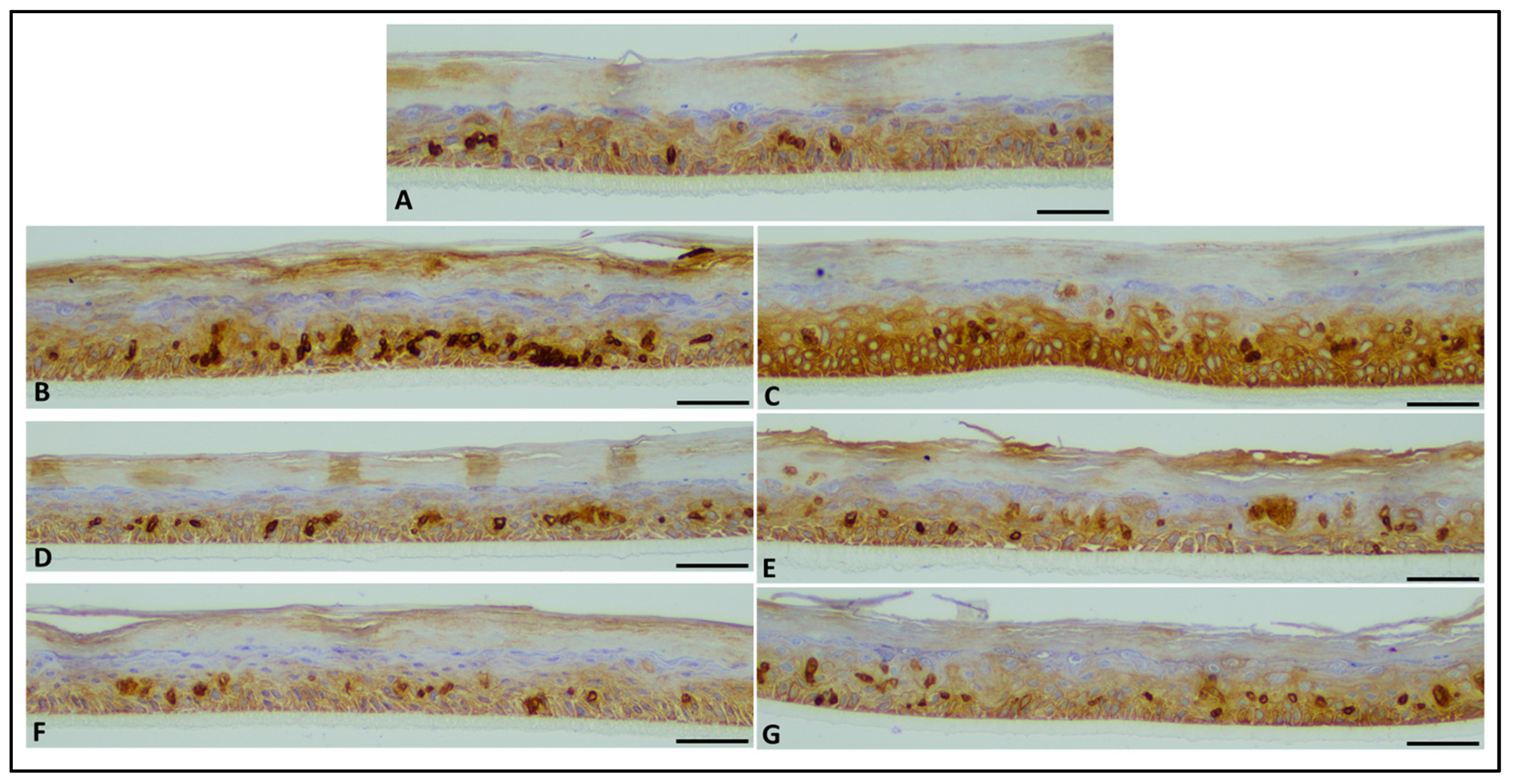 Molecules 28 04190 g010 Molecules 28 04190 g010