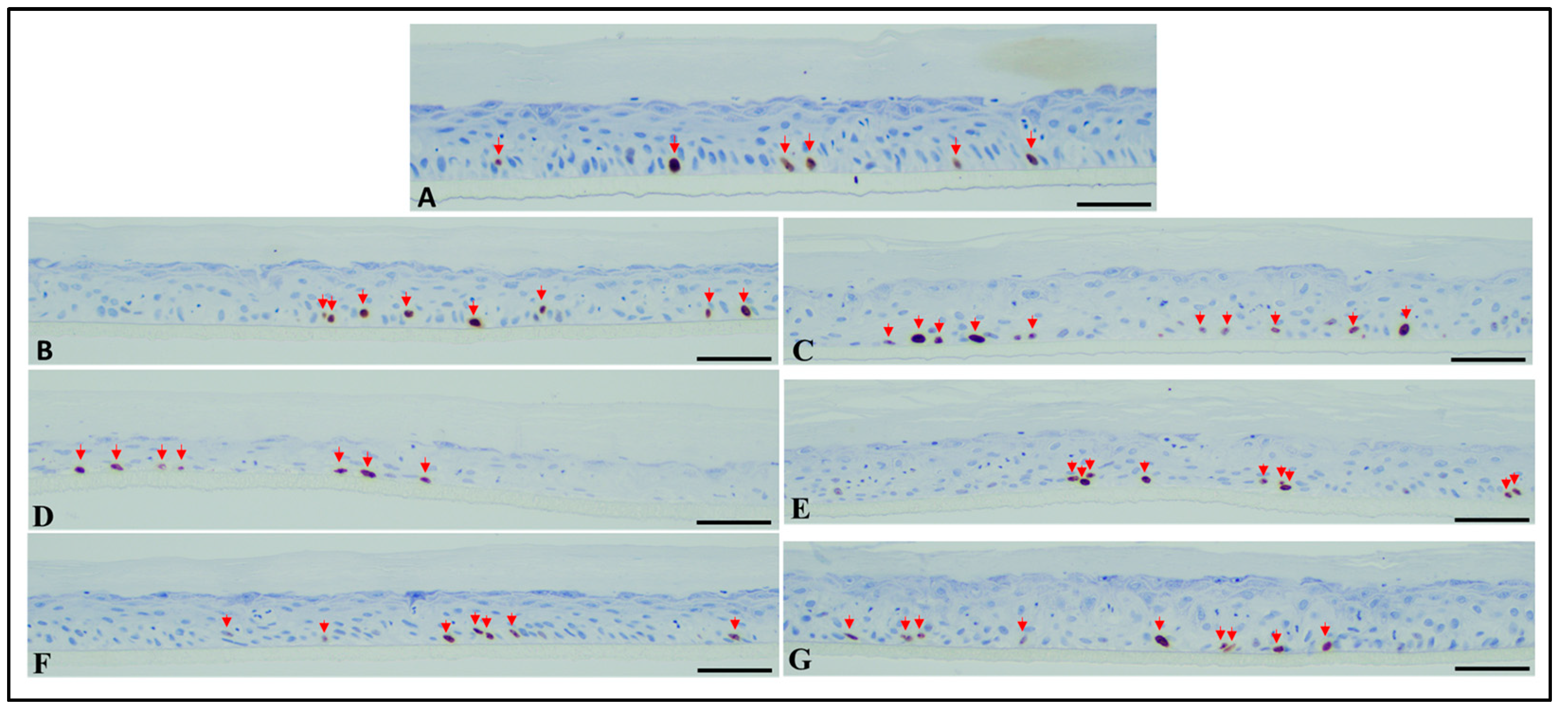 Molecules 28 04190 g011 Molecules 28 04190 g011