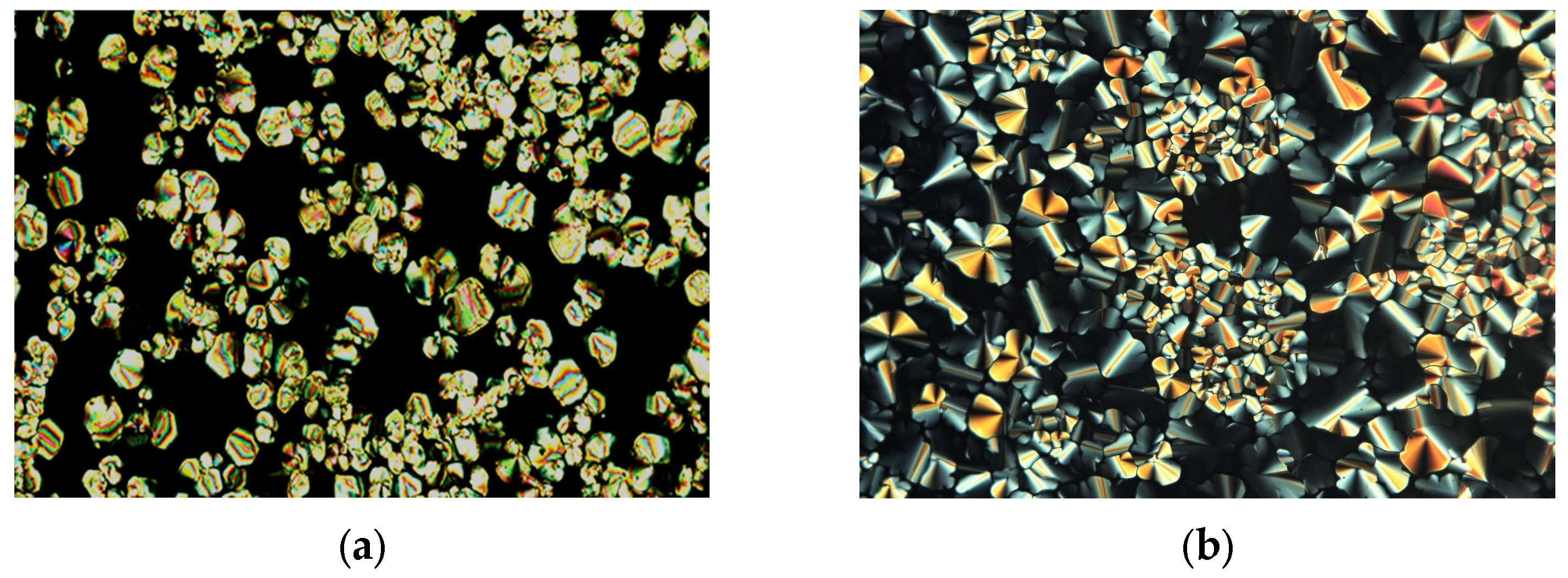 Molecules 28 04196 g004a Molecules 28 04196 g004a